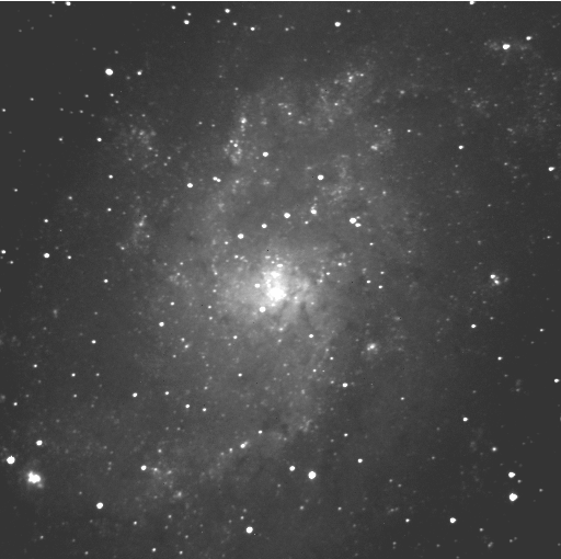 Die Spiralgalaxie Messier 33 im Sternbild Dreieck