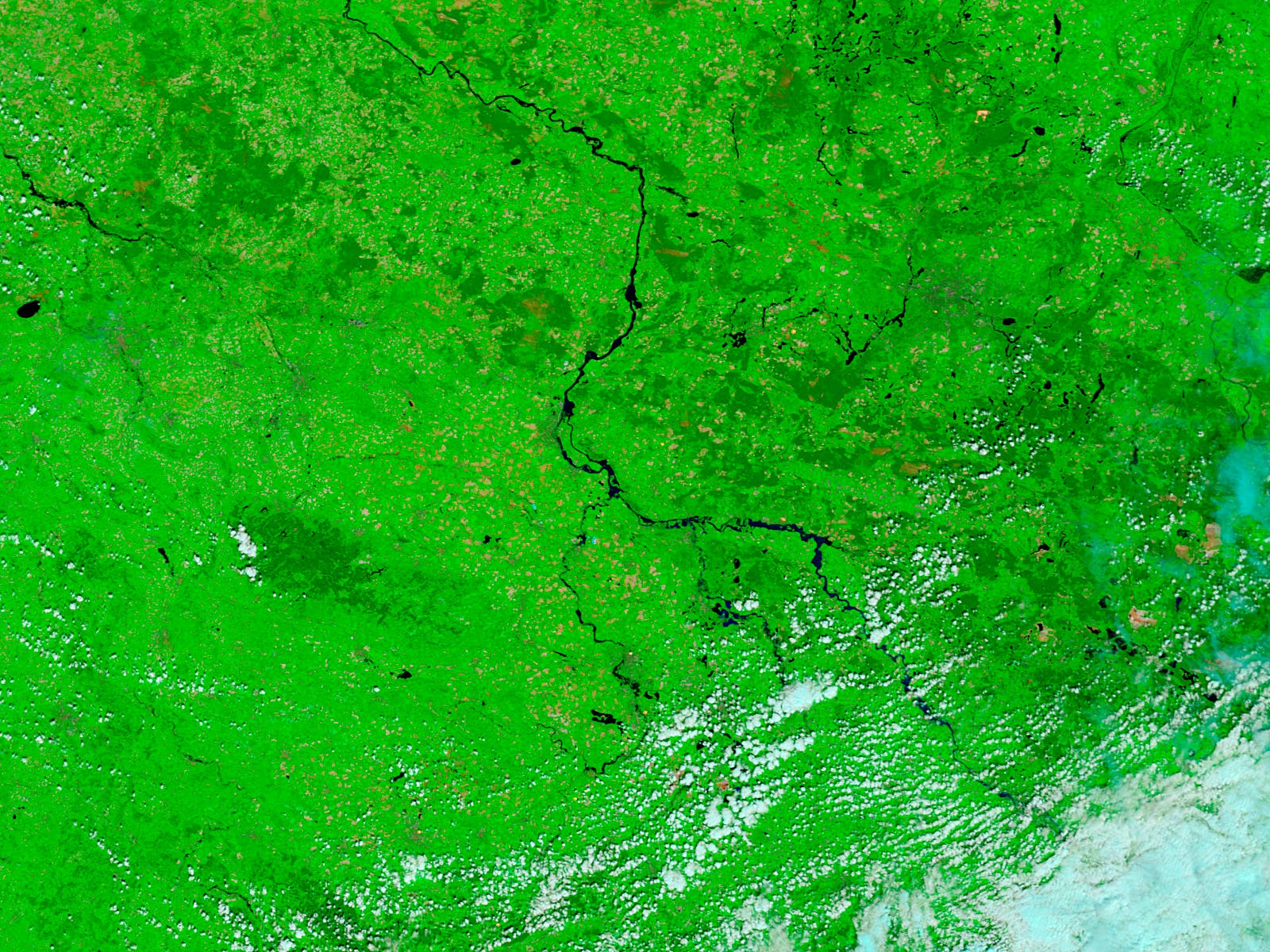 Elbehochwasser im Satellitenbild
