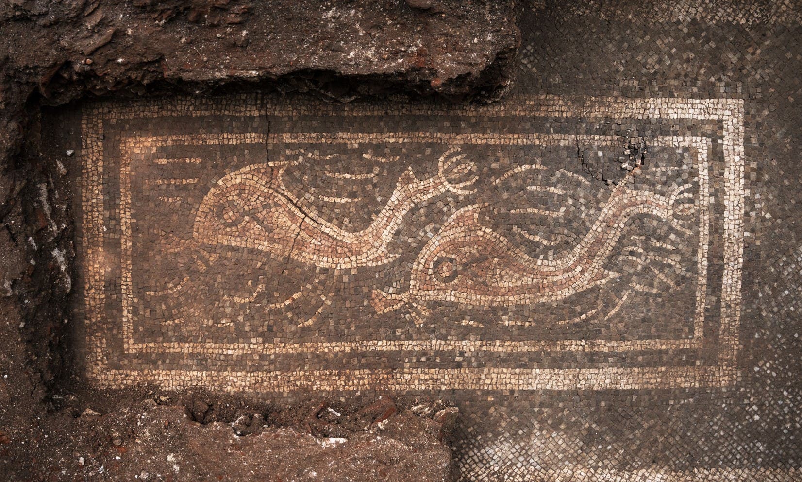 Ein antikes Mosaik zeigt zwei stilisierte Fische, die in entgegengesetzte Richtungen schwimmen. Das Mosaik ist von einem rechteckigen Rahmen umgeben und in Erdtönen gehalten. Teile des Mosaiks sind von Erde und Schutt umgeben, was auf eine archäologische Ausgrabung hindeutet. Ein antikes Mosaik zeigt zwei stilisierte Fische, die in entgegengesetzte Richtungen schwimmen. Das Mosaik ist von einem rechteckigen Rahmen umgeben und in Erdtönen gehalten. Teile des Mosaiks sind von Erde und Schutt umgeben, was auf eine archäologische Ausgrabung hindeutet.