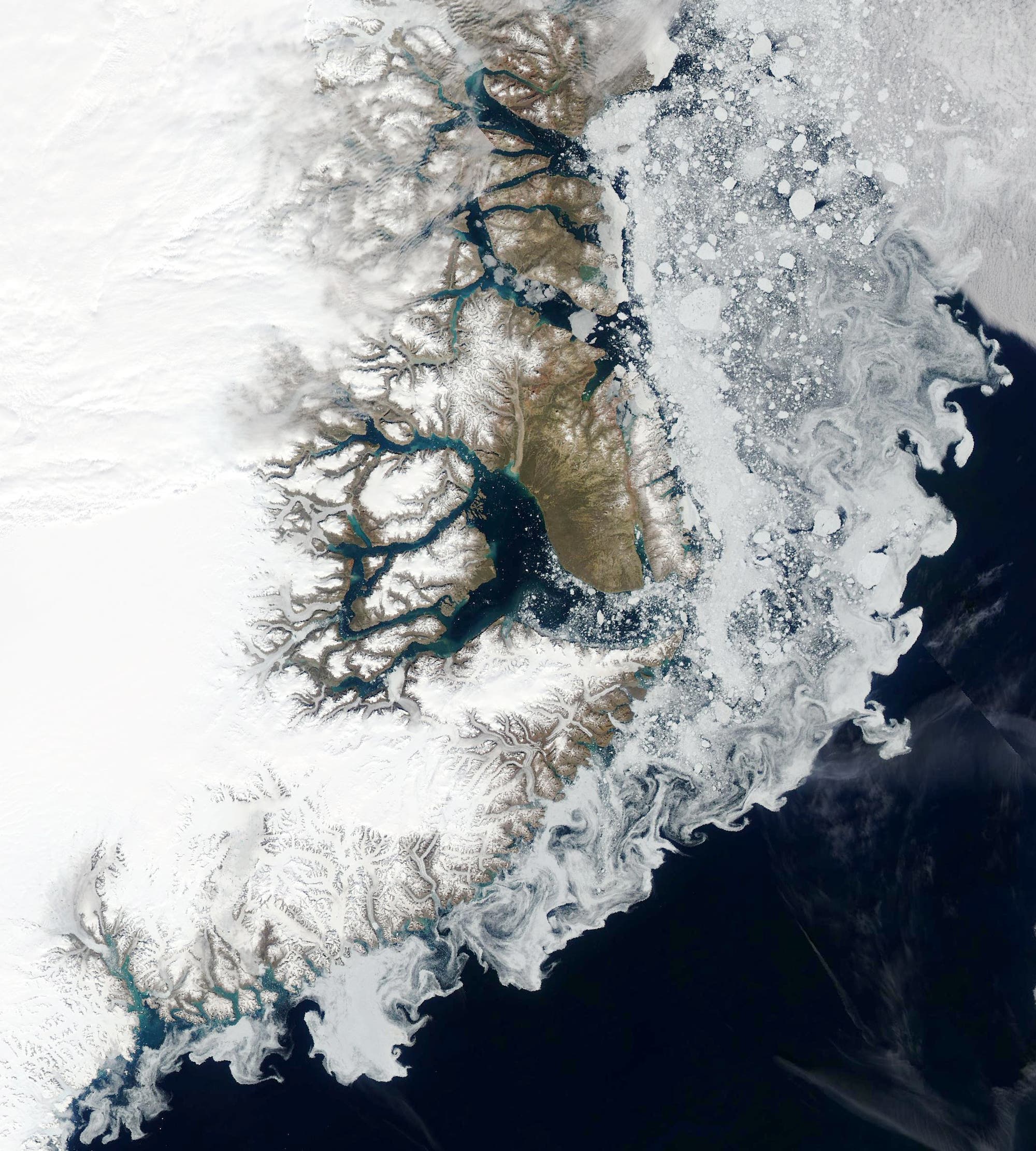 Satellitenbild von Eisschollen, die Strömungswirbel vor Grönlands Küste nachzeichnen.