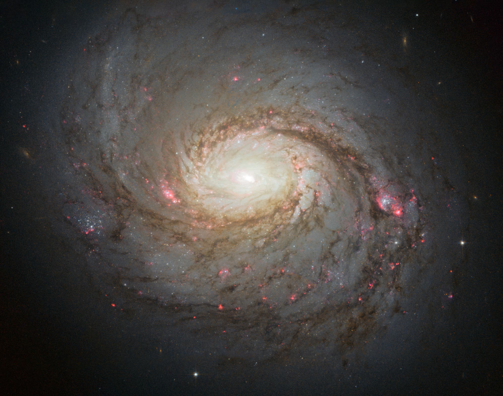 Die Spiralgalaxie Messier 77