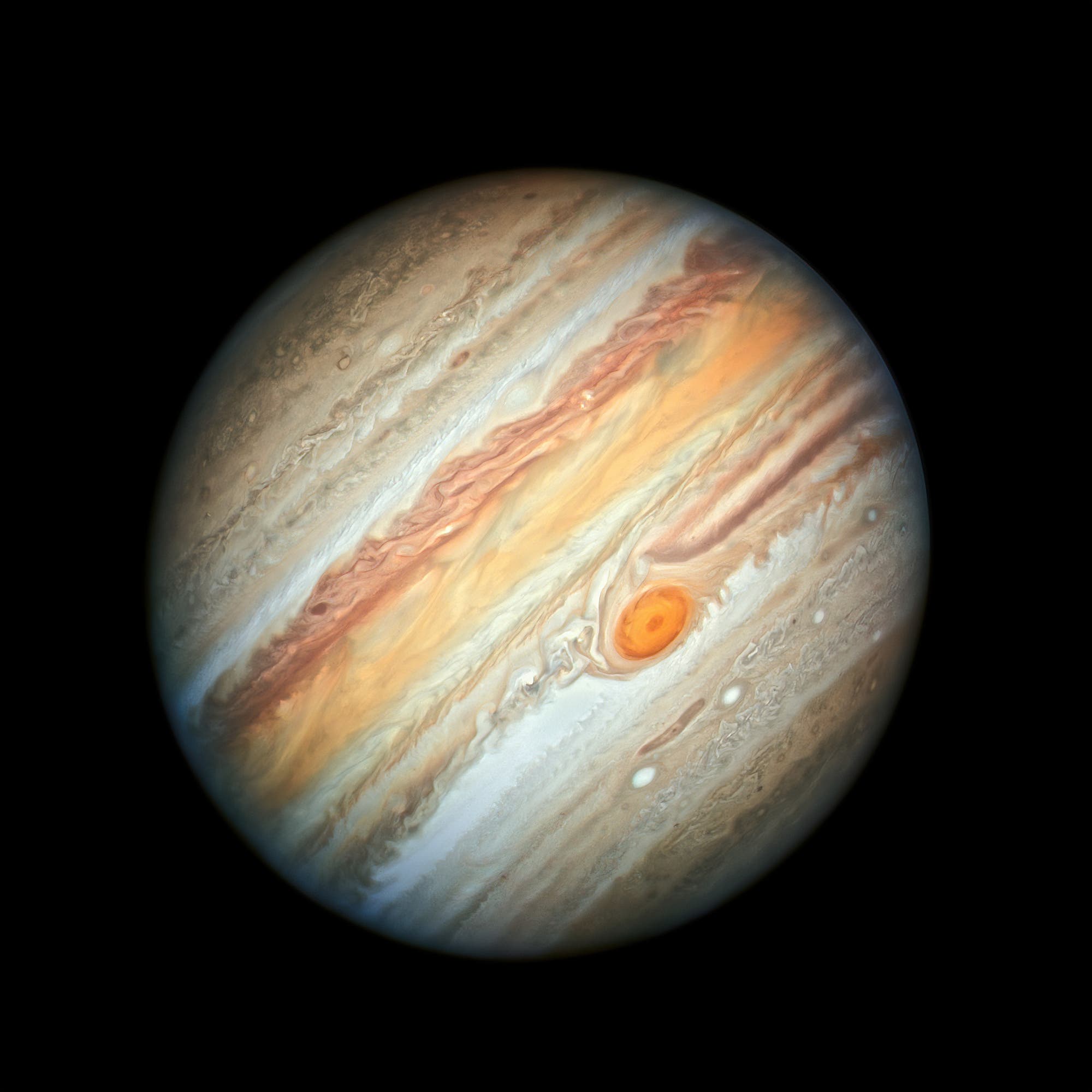 Dynamischer Jupiter – Aufnahme des Weltraumteleskops Hubble