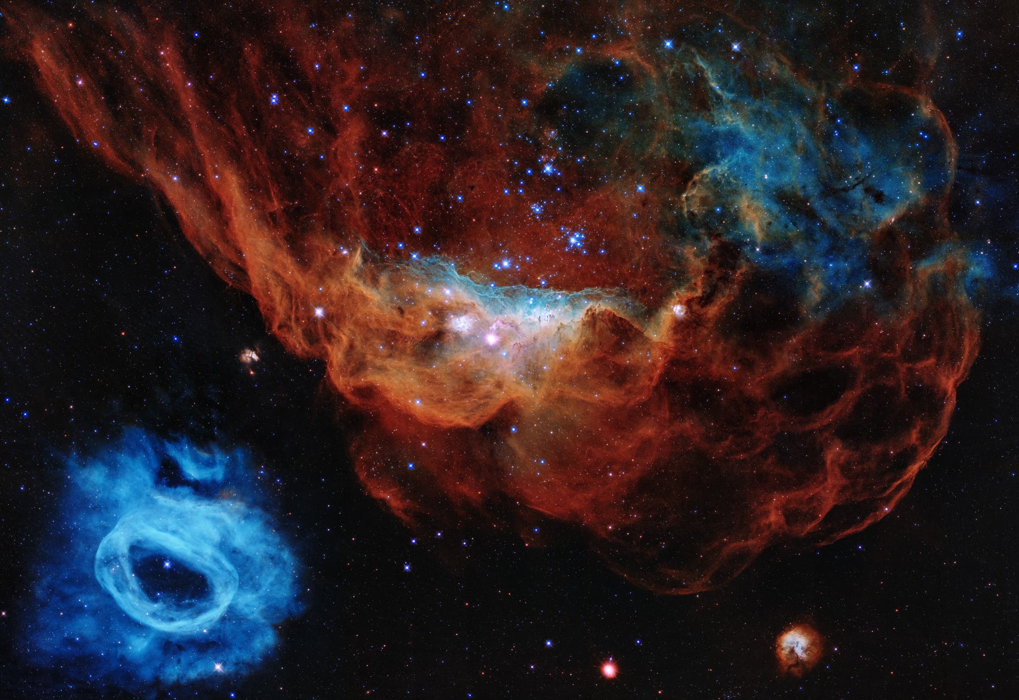 Das Porträt zeigt den Riesennebel NGC 2014 und seinen Nachbarn NGC 2020.