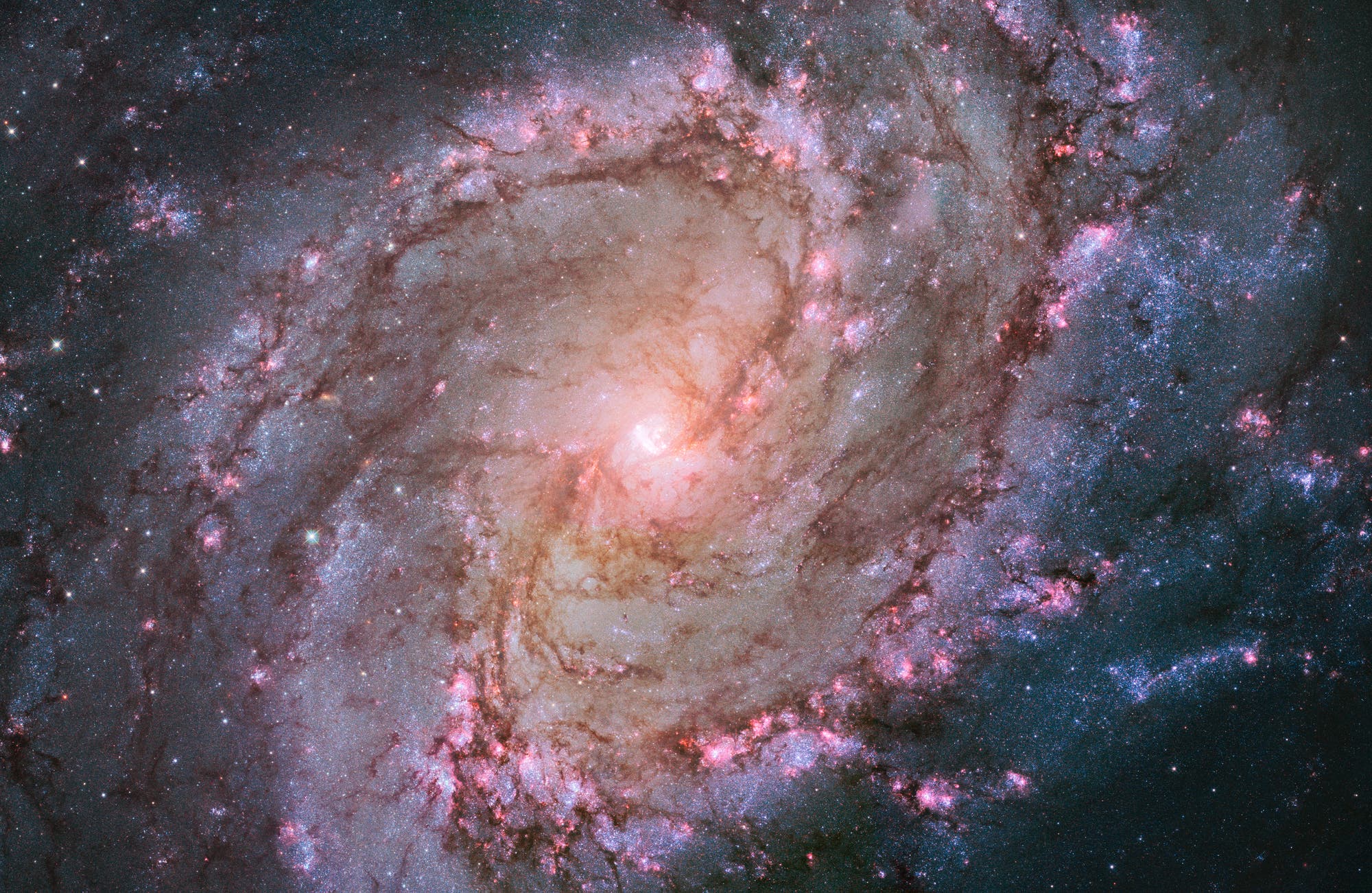 Die Spiralgalaxie Messier 83 (Bild des Weltraumteleskops Hubble)