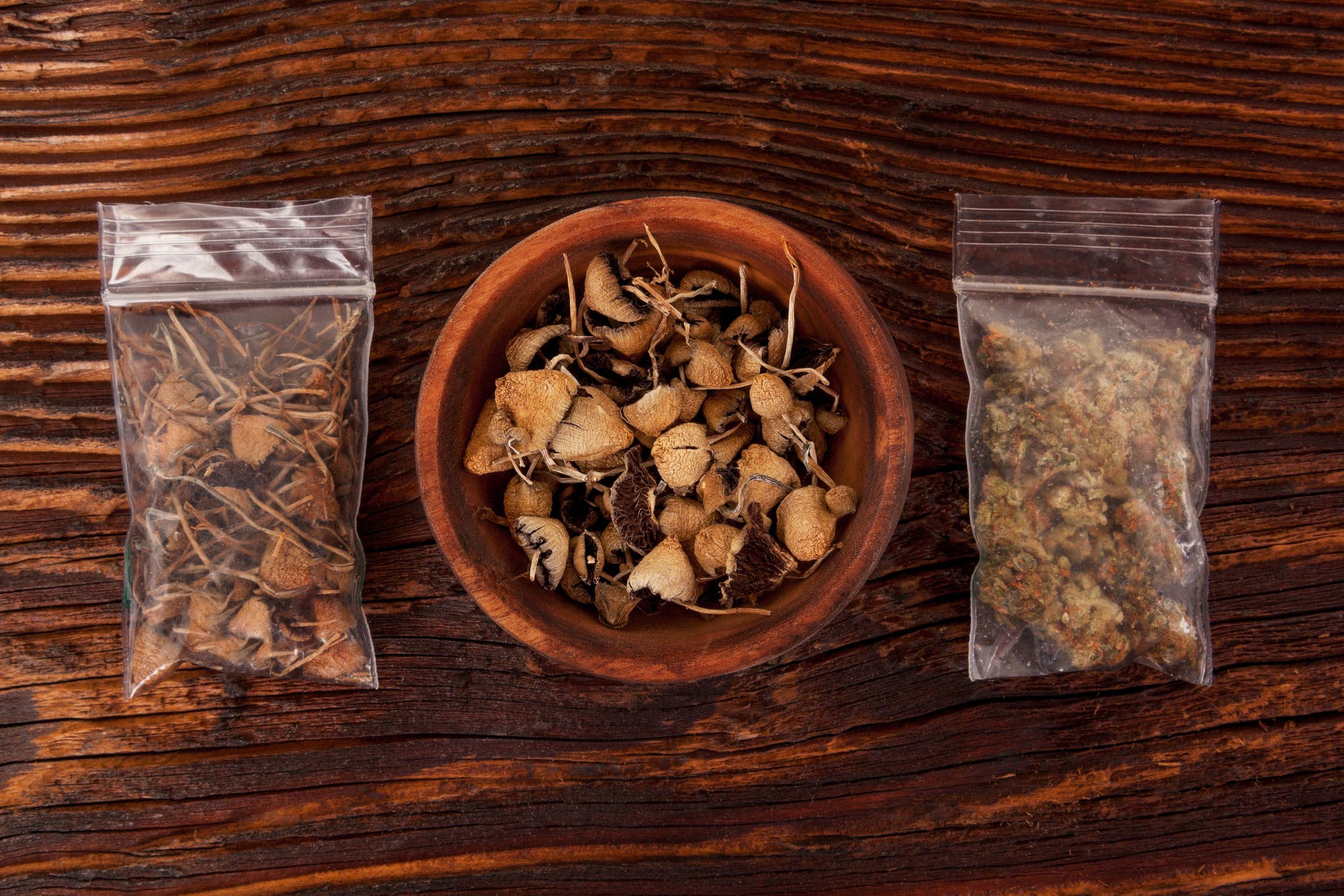 Tütchen mit getrockneten psychoaktiven Substanzen: links der spitzkegelige Kahlkopf, rechts Marihuana