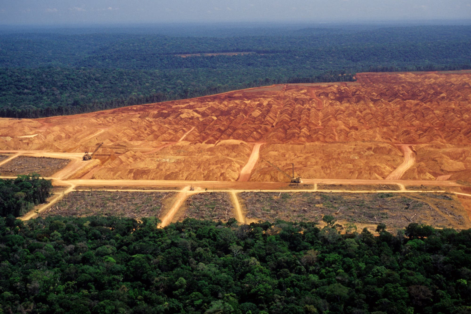 Flächenfraß und Entwaldung