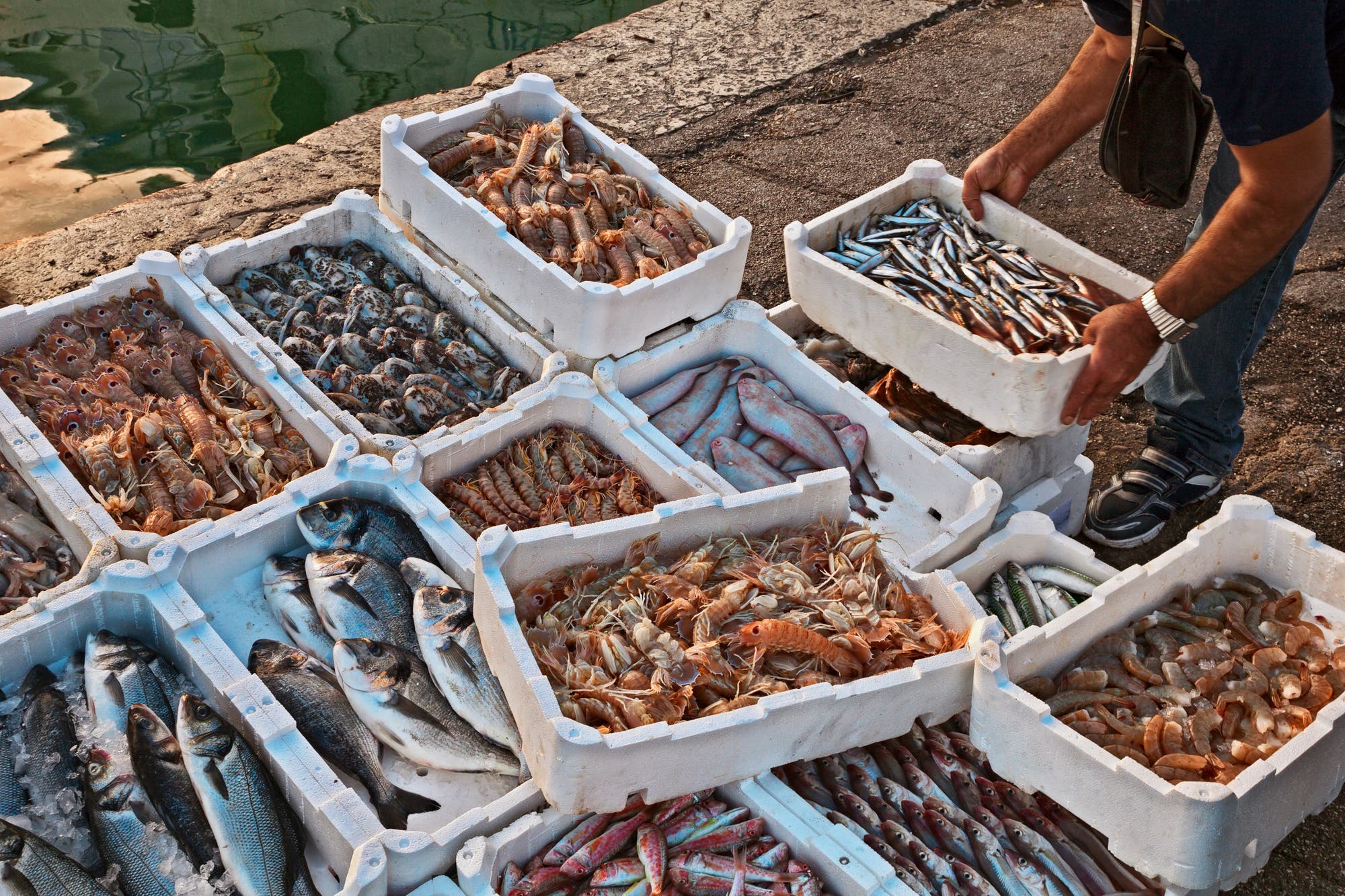 Ein Fischer stapelt Kisten mit verschiedenen Fischen und Meeresfrüchten aufeinander.