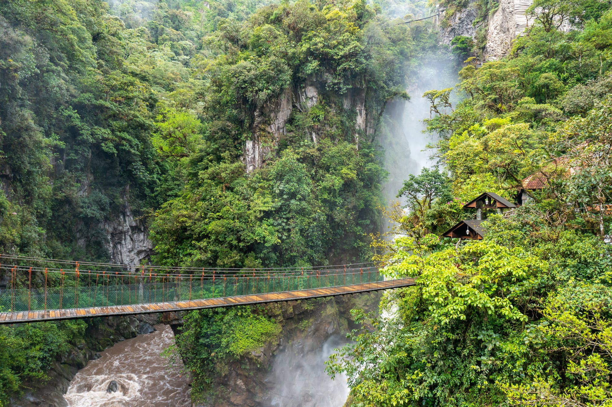 Der Yasuni-Nationalpark in Ecuador
