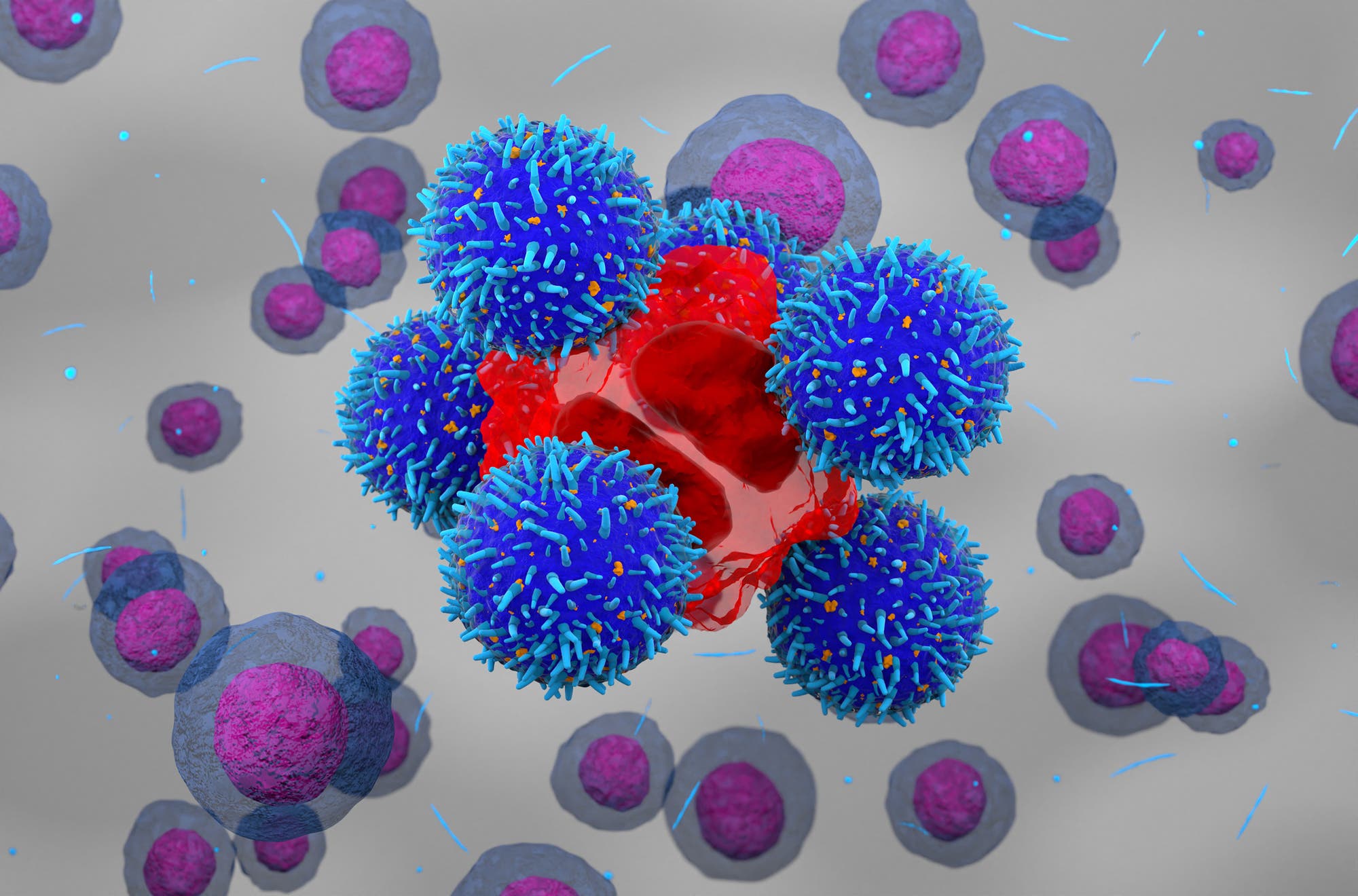CAR-T-Zellen greifen eine Krebszelle an