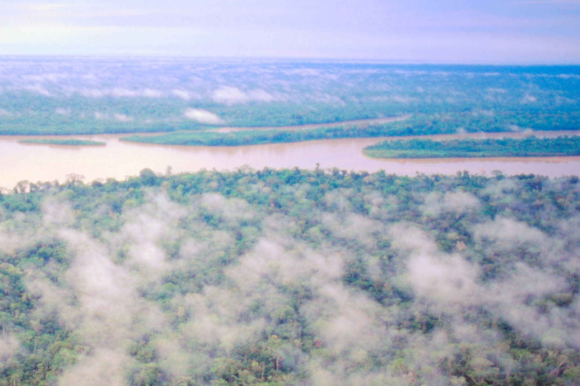 Der Amazonas-Regenwald könnte bald seinen gefährlichen Kipppunkt erreichen