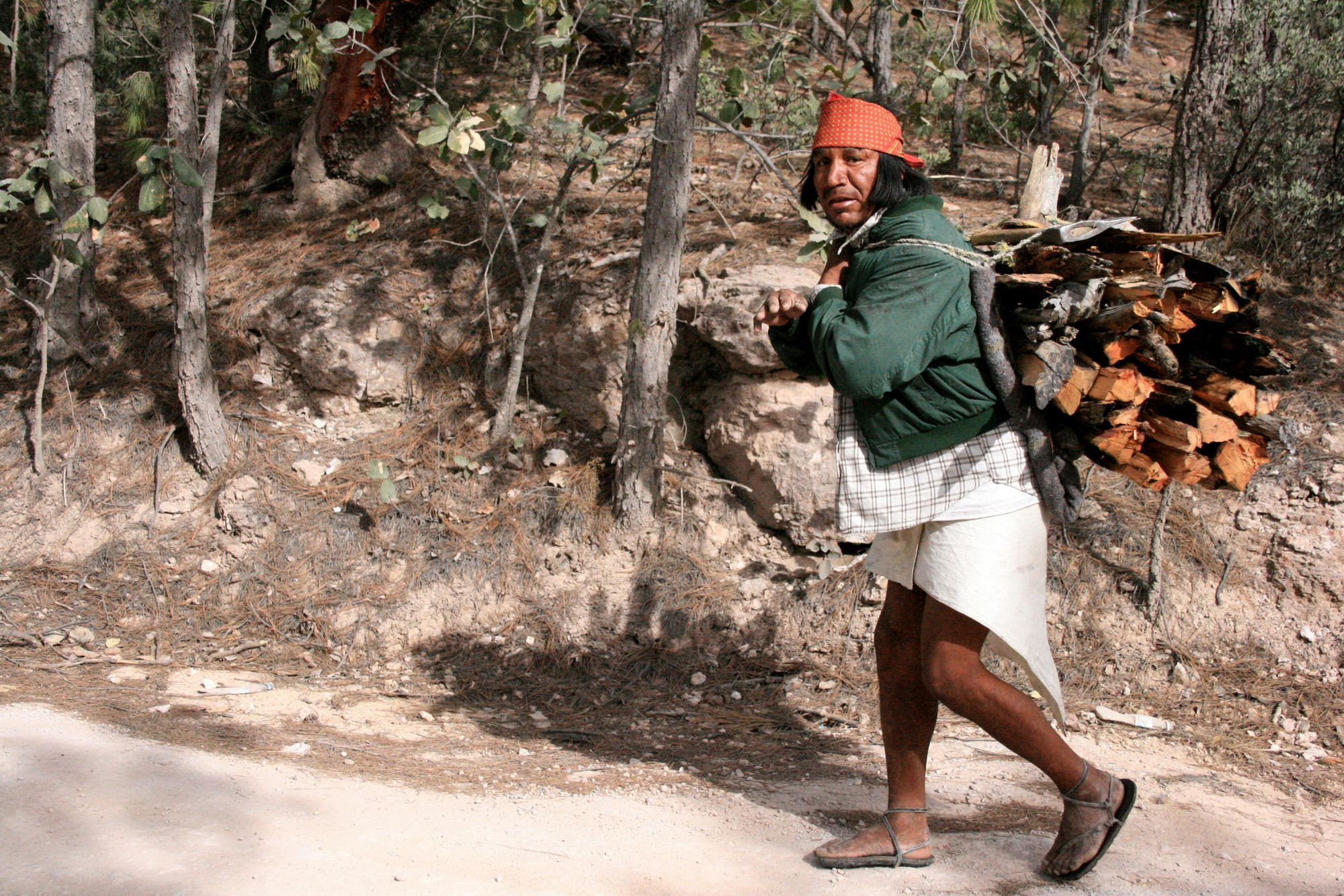 Ein älterer Mann aus dem Tarahumara-Stamm in den Bergen der Sierra Madre im mexikanischen Bundesstaat Chihuahua trägt ein Bündel Feuerholz auf seinem Rücken einen Pfad hinauf. Tarahumara werden auch Rarámuri genannt, was so viel heißt wie: »Läufer« oder »jene, die schnell laufen«.