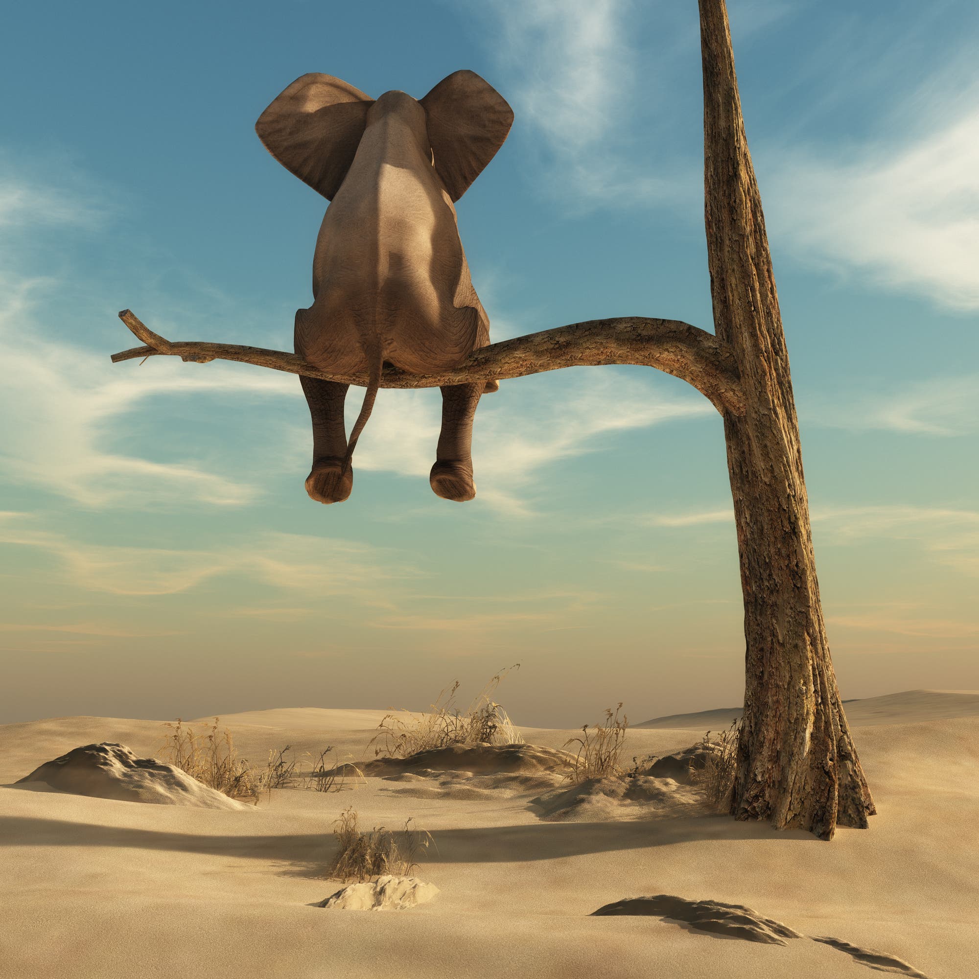 Traumwelt: Ein Elefant sitzt auf dem Ast eines Baumes in der Wüste