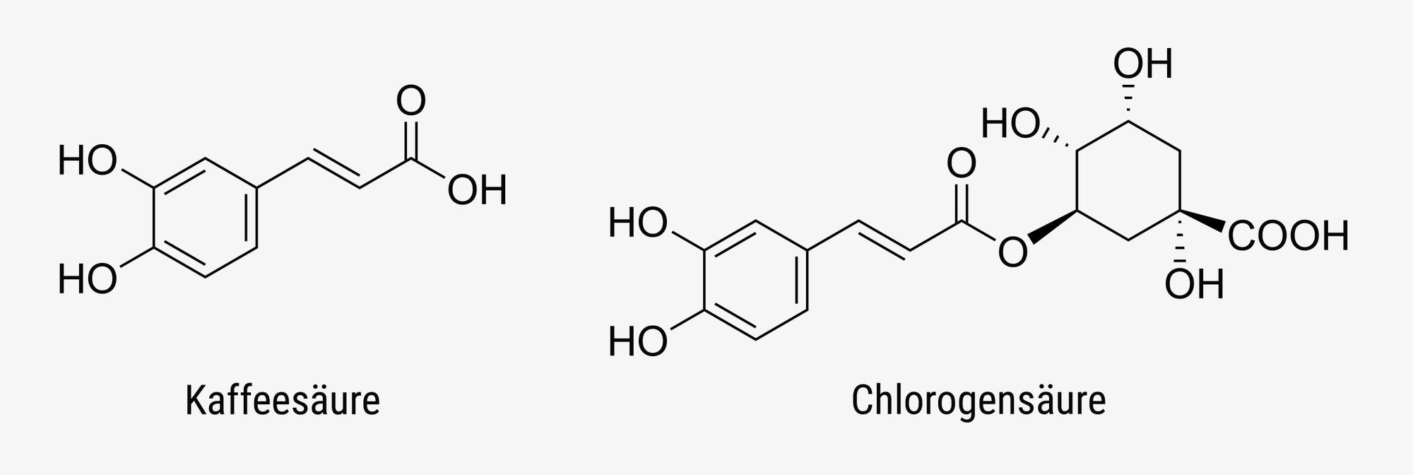 Strukturformeln von Kaffesäure und Chlorogensäure.