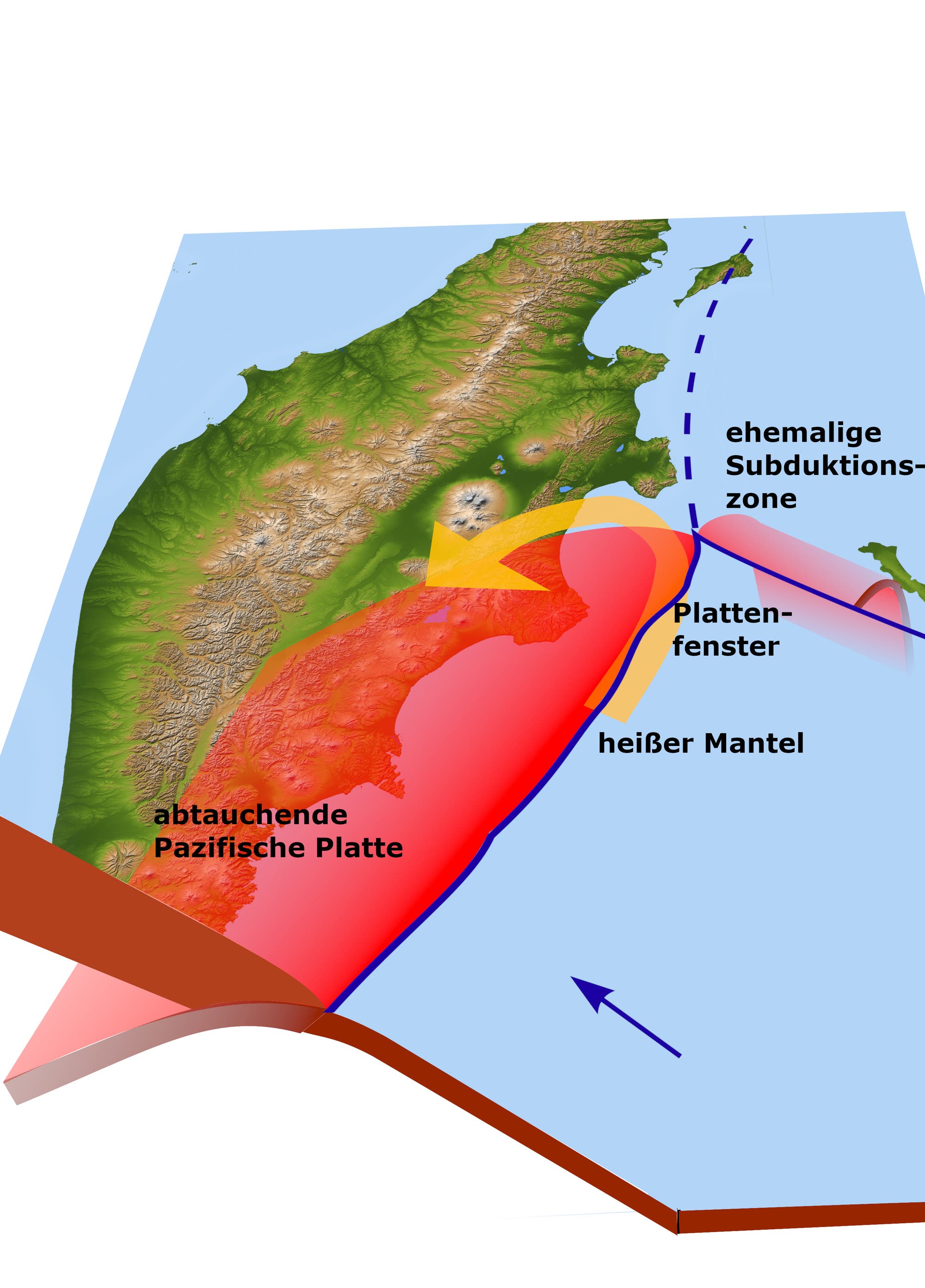 Eine geografische Karte zeigt die tektonische Situation in einem Küstengebiet. Die Karte illustriert die abtauchende Pazifische Platte in Rot, die unter eine andere Platte gleitet. Ein gelber Pfeil deutet auf ein Plattenfenster hin, durch das heißer Mantelmaterial aufsteigt. Eine gestrichelte Linie markiert die ehemalige Subduktionszone. Die Karte hebt topografische Merkmale und tektonische Bewegungen hervor.