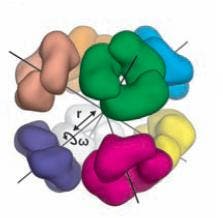 Oktaedrischer Protein-Käfig