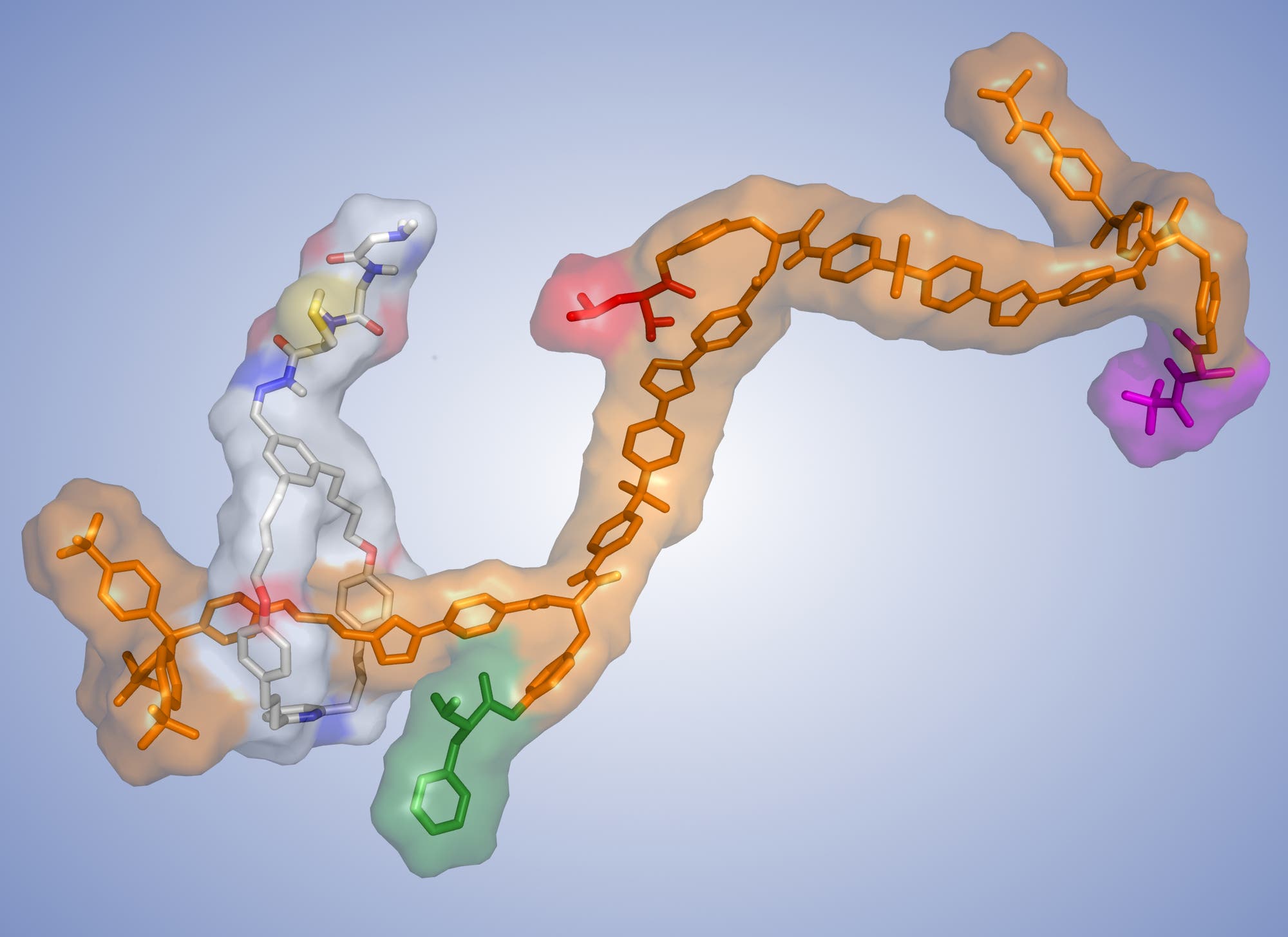Die chemische Struktur der Molekularen Maschine. Ein Rotaxan.