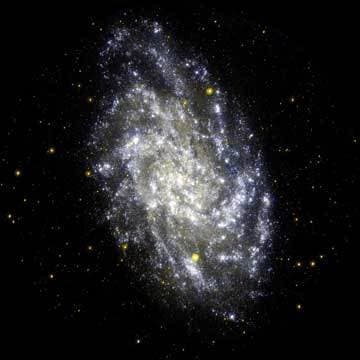 Spiralgalaxie M33
