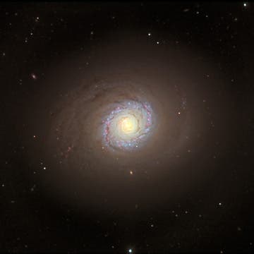 Spiralgalaxie NGC 4736 