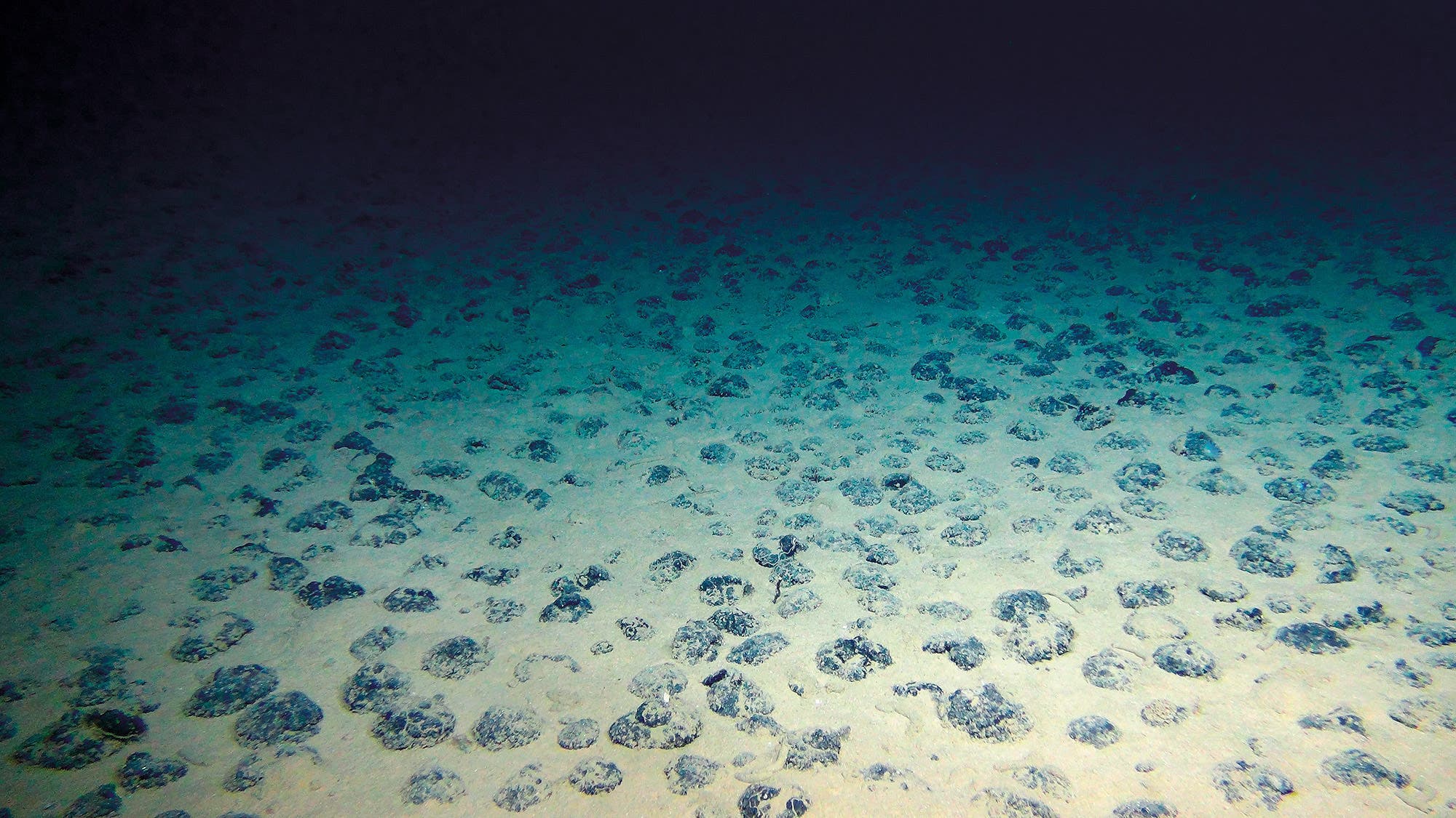Mit Manganknollen bedeckter Meeresboden