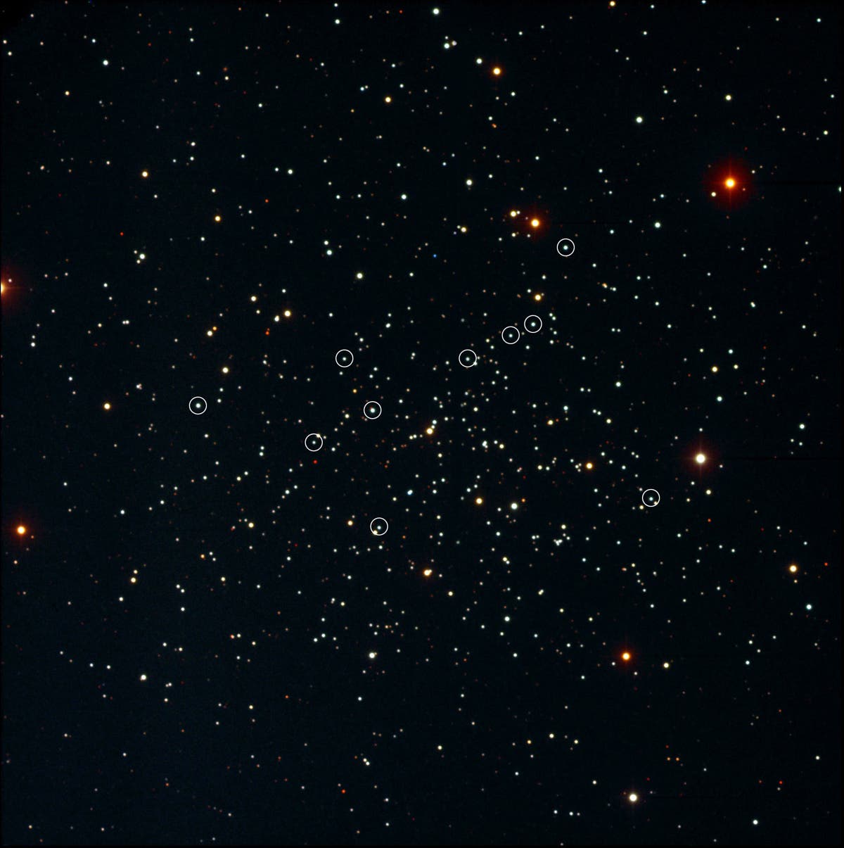 Offener Sternhaufen NGC 188 