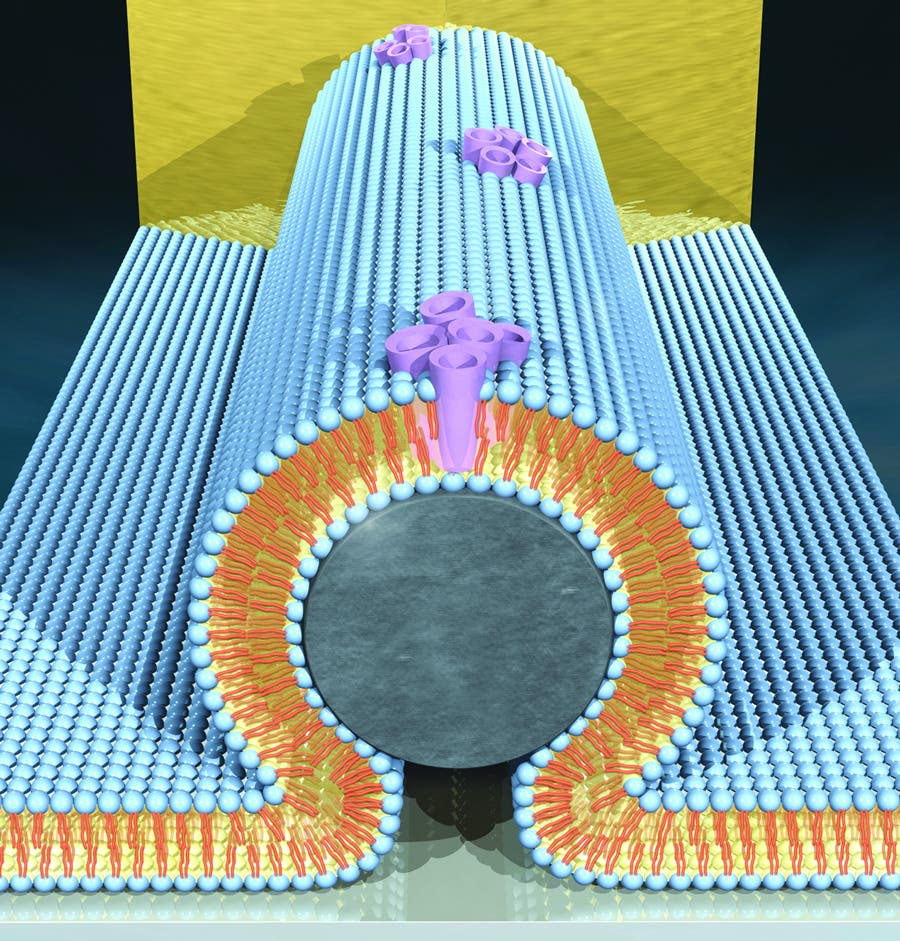 Nanodraht mit Membran und Kanälen