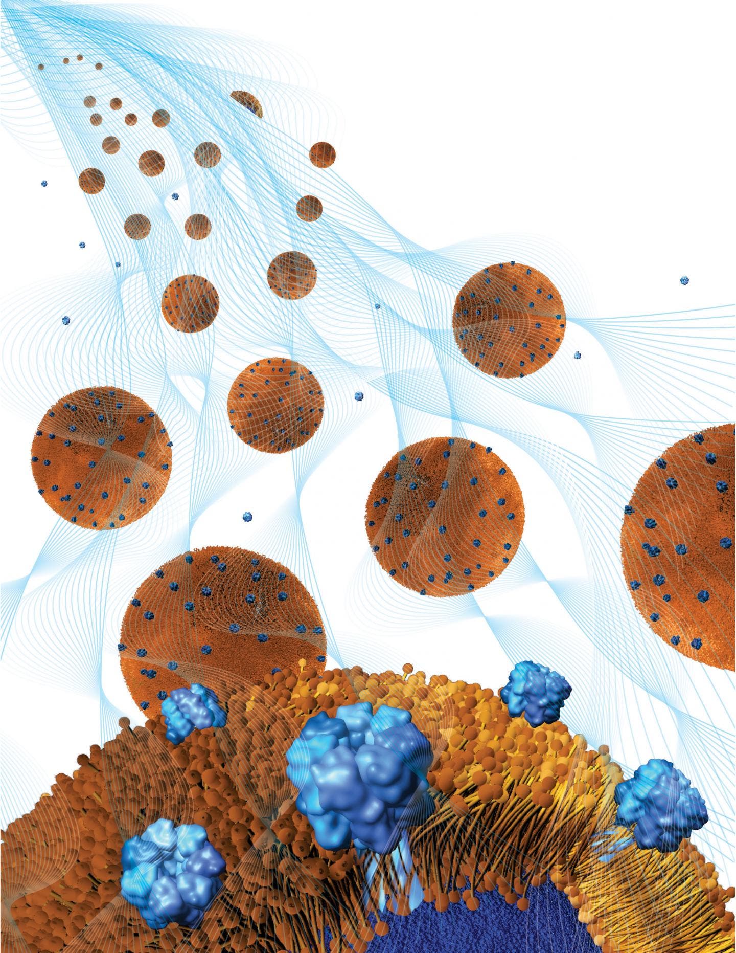 Nanopartikel mit trickreicher Hülle