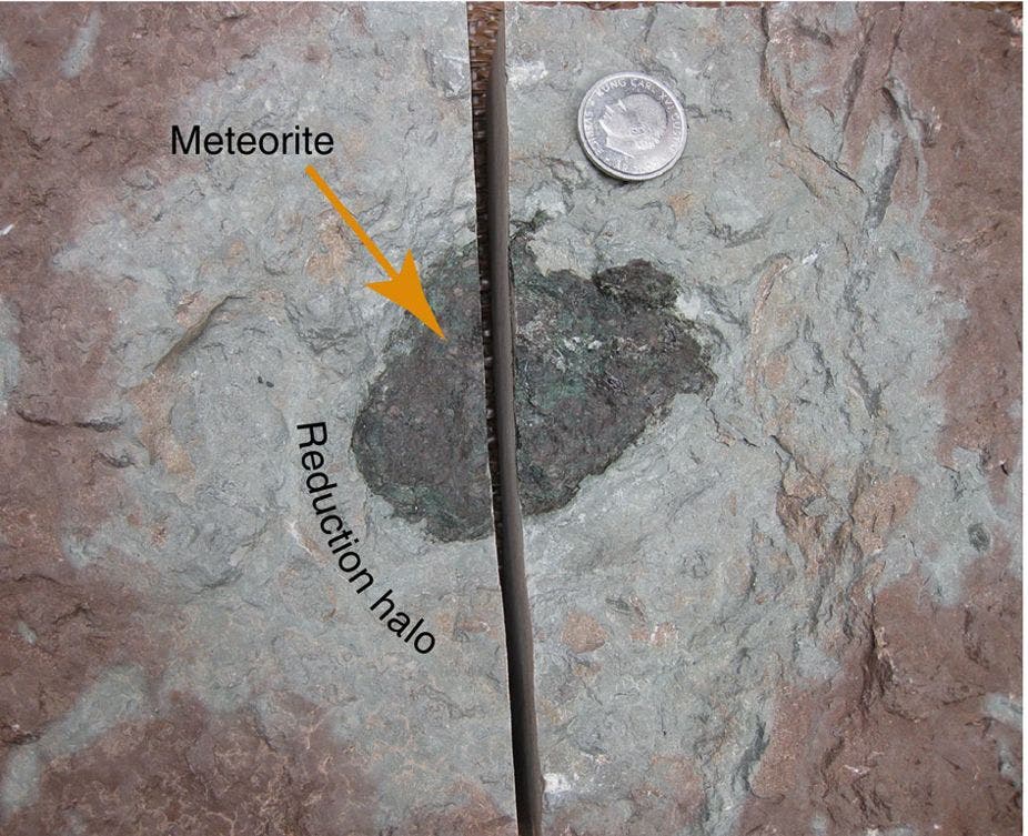 Der fossile Meteorit Österplana 065