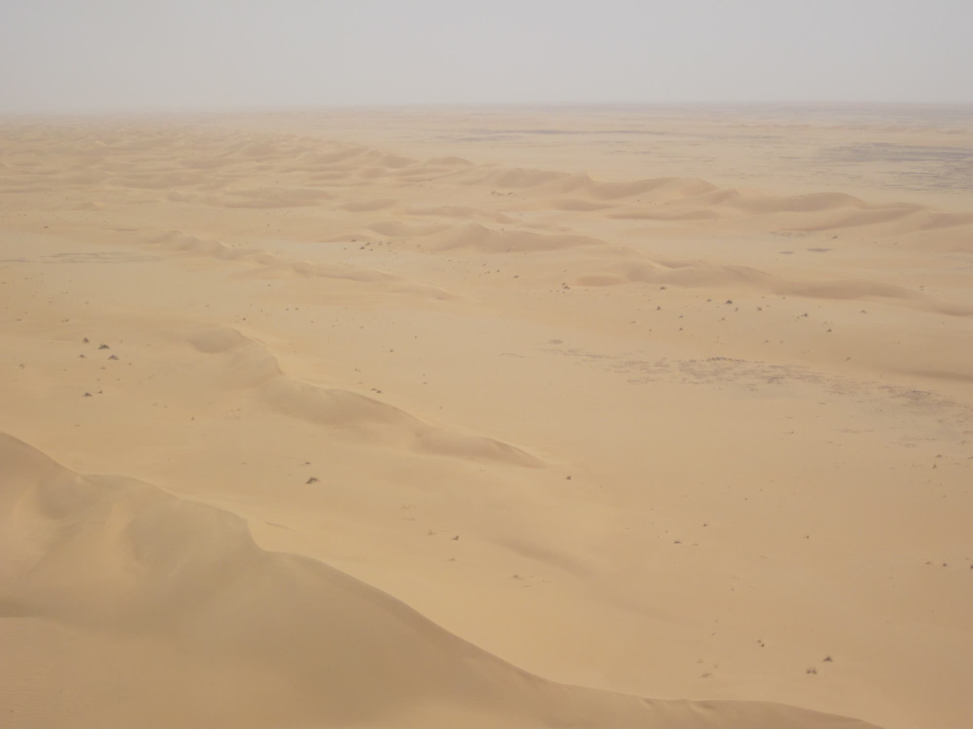 Dünenfeld in Nordmauritanien