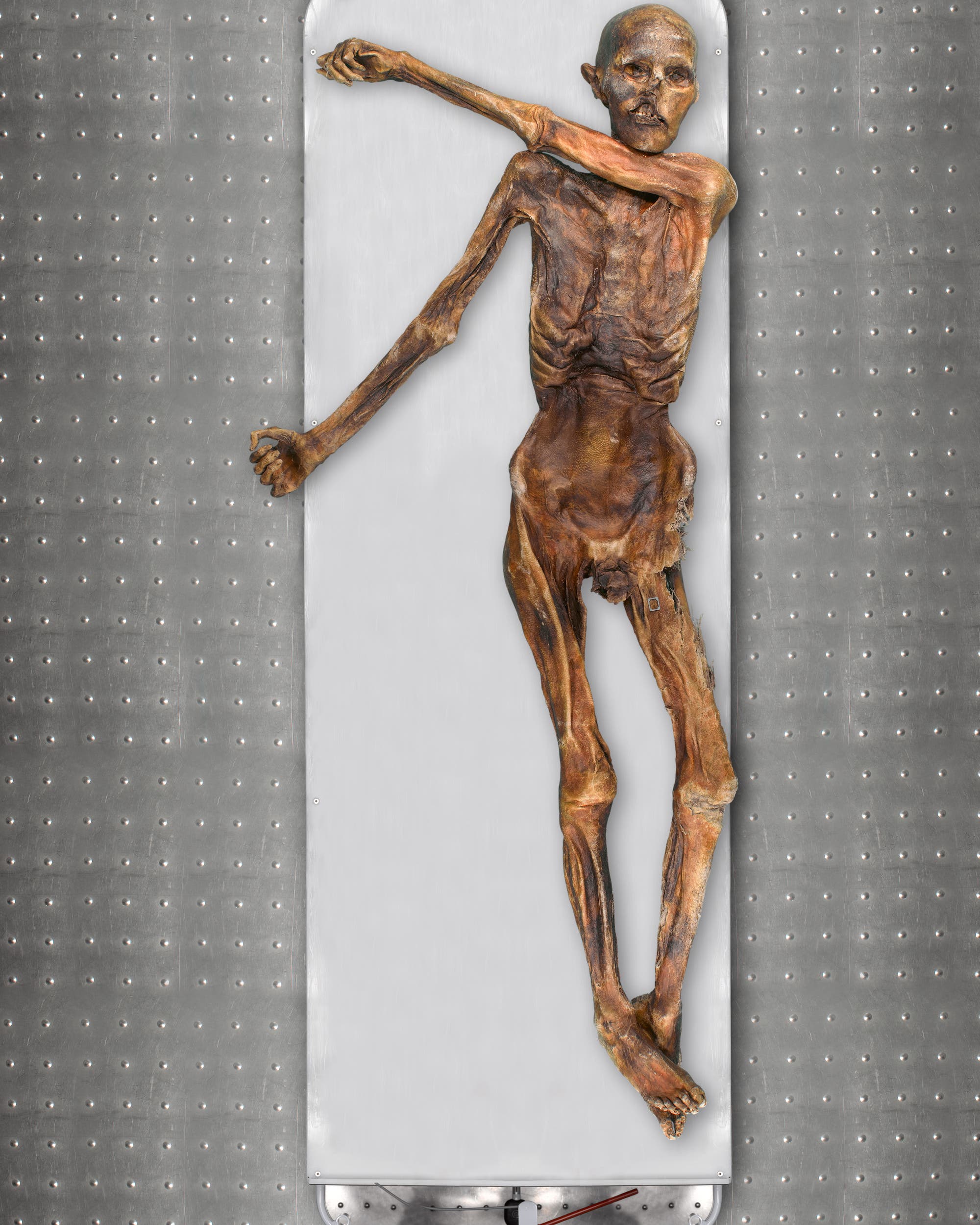 Ötzi wurde 1991 entdeckt. Heute befindet sich die 5300 Jahre alte Mumie im Südtiroler Archäologiemuseum in Bozen.