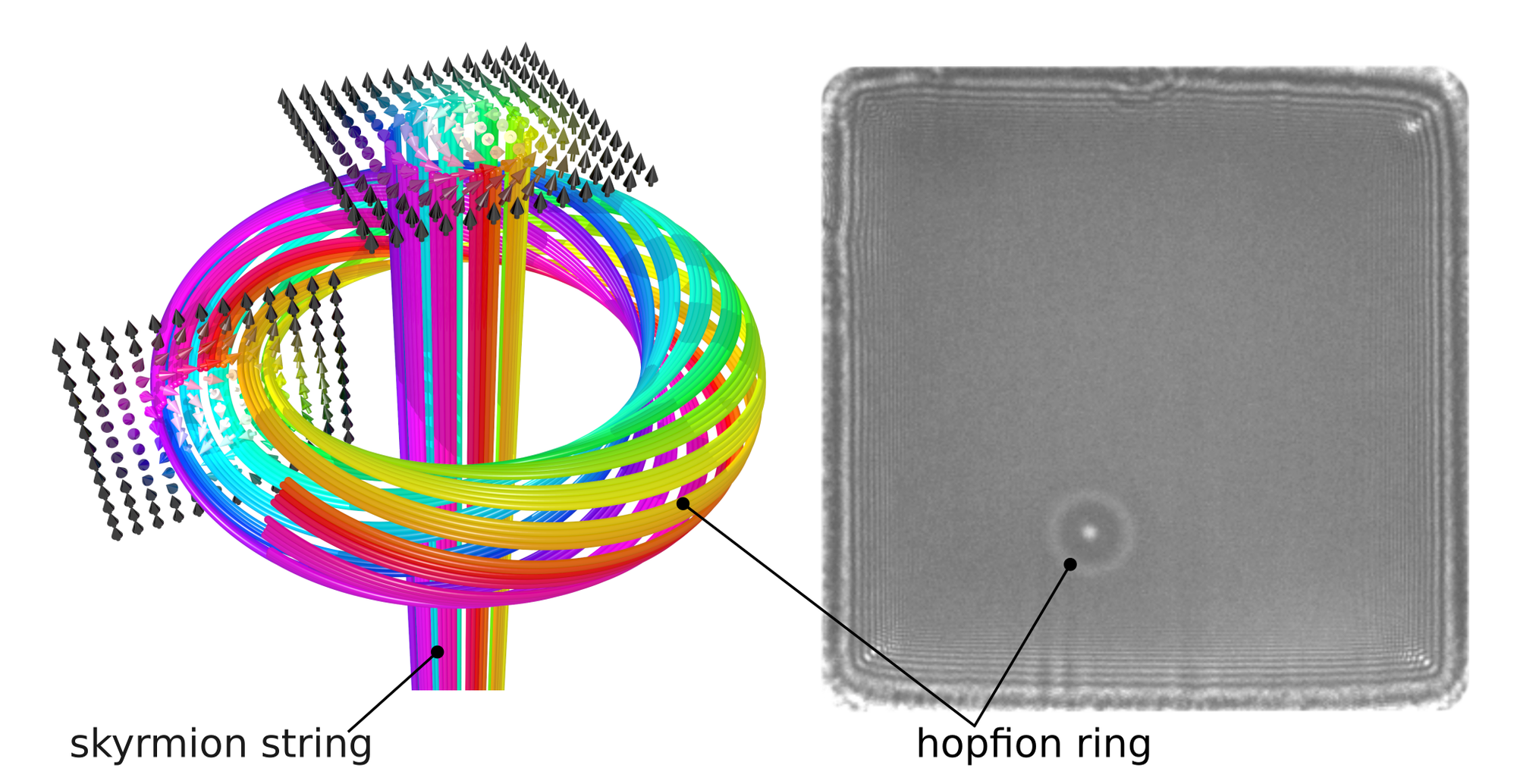 Könnten diese winzigen Wirbel die Informationsträger der Zukunft sein? Bei den neu nachgewiesenen Hopfionen handelt es sich um komplexe magnetische 3-D-Strukturen, die sich ringförmig um Skyrmionfäden herum bewegen&nbsp;– entdeckt wurden sie in einem Eisengermaniumkristall.