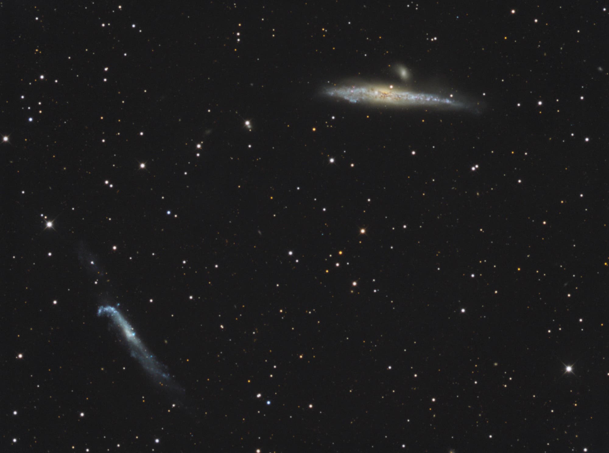 Bild des Galaxienpaars NGC 4656 und 4631 durch ein großes, fotooptimiertes Amateurteleskop