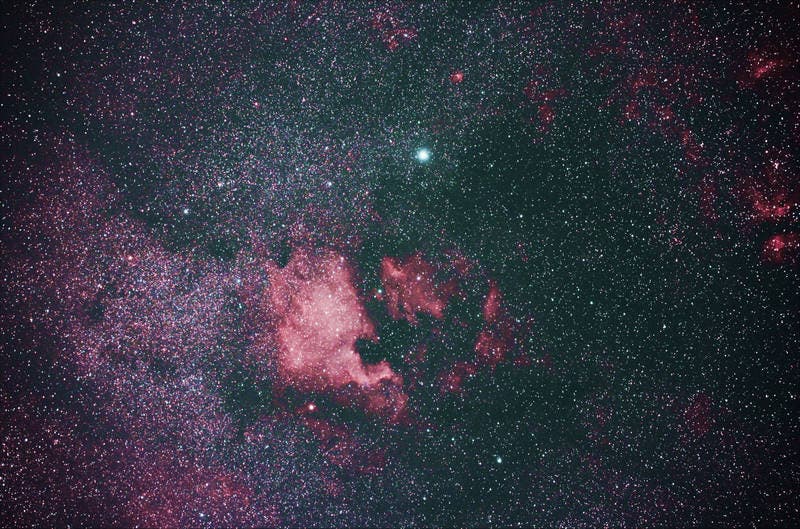 Der Nordamerikanebel NGC 7000 im Sternbild Schwan