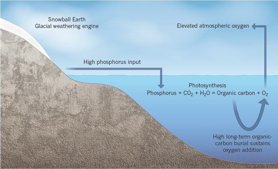 Schema: Wie Phosphat den Ozean verändert