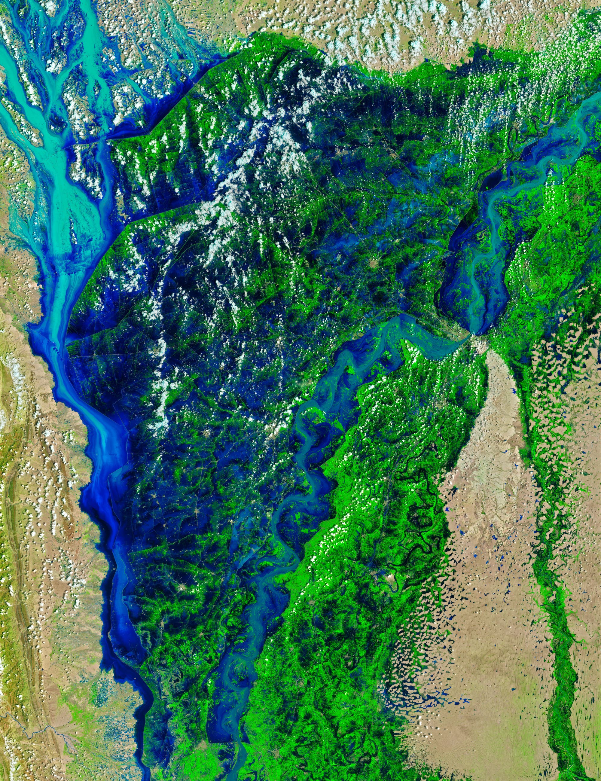 Ein Satellitenbild des Indus-Schwemmlandes.