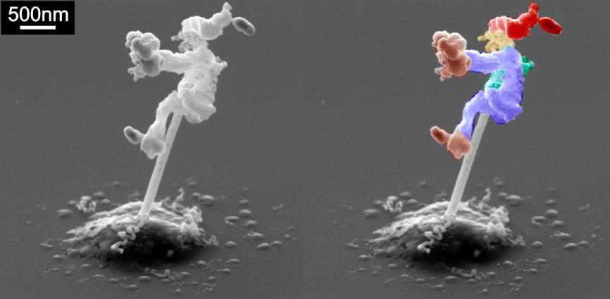 Menschenförmige Rußkonkretion am Ende eines Nanodrahtes