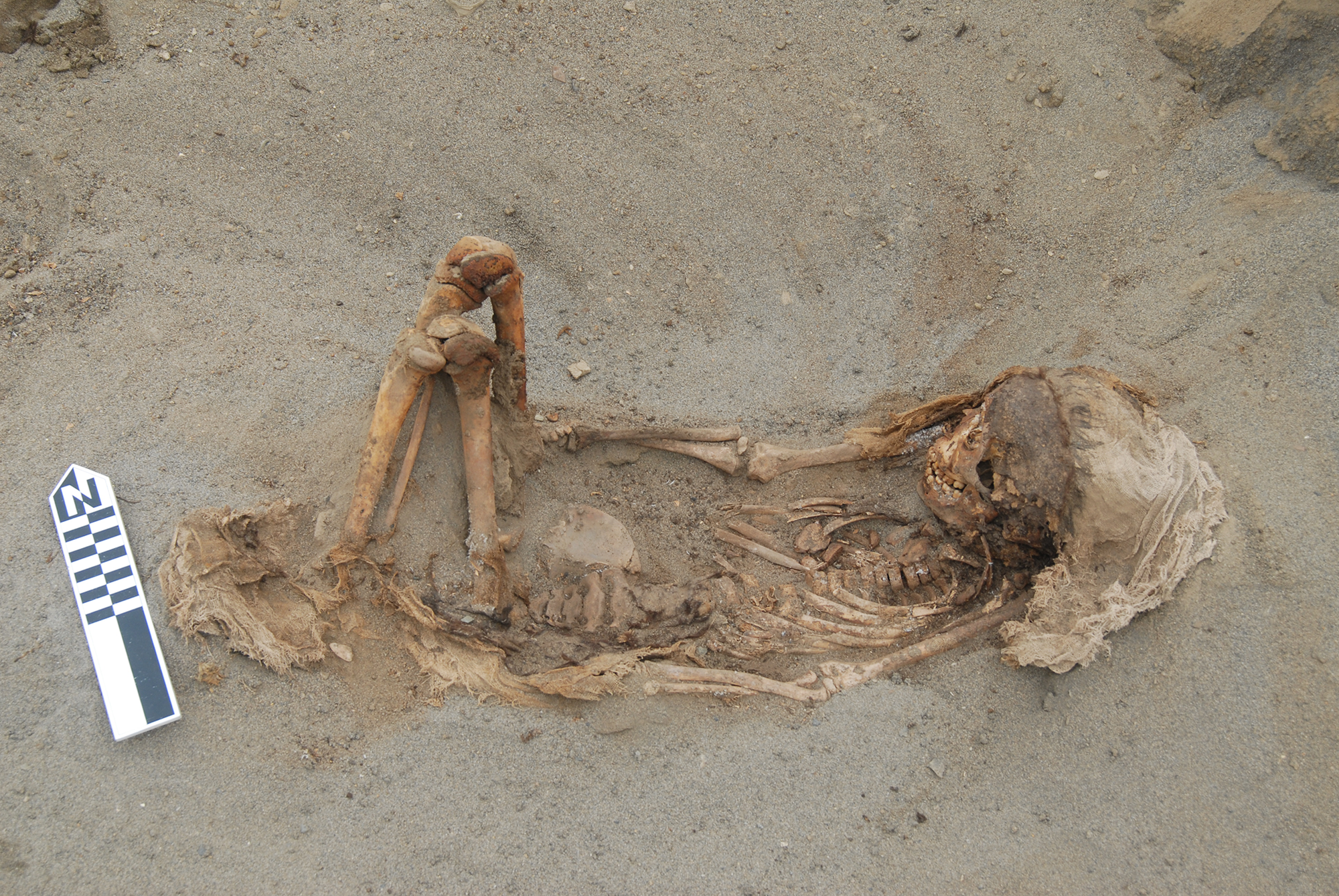 Das Skelett eines Kindes am Opferplatz Huanchaquito-Las Llamas in Peru.