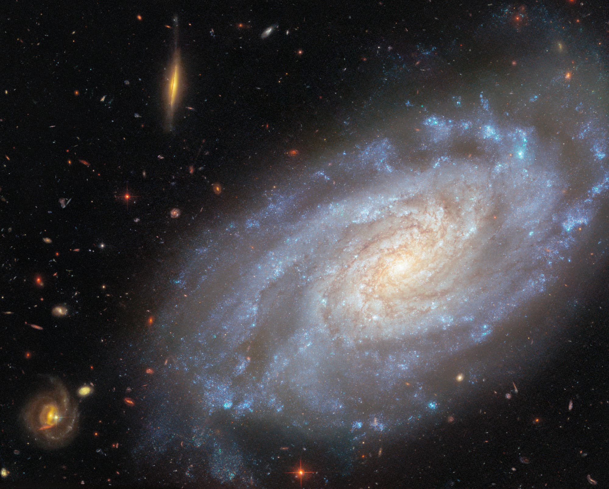 Eine Spiralgalaxie mit leuchtendem Zentrum und ausgedehnten, bläulichen Spiralarmen, die von zahlreichen Sternen und interstellarem Staub durchzogen sind. Umgeben von einem dunklen Weltraumhintergrund mit mehreren kleineren, unscharfen Galaxien und leuchtenden Sternen. Die Galaxie zeigt eine klare Spiralstruktur, die typisch für viele Galaxien im Universum ist. Eine Spiralgalaxie mit leuchtendem Zentrum und ausgedehnten, bläulichen Spiralarmen, die von zahlreichen Sternen und interstellarem Staub durchzogen sind. Umgeben von einem dunklen Weltraumhintergrund mit mehreren kleineren, unscharfen Galaxien und leuchtenden Sternen. Die Galaxie zeigt eine klare Spiralstruktur, die typisch für viele Galaxien im Universum ist.