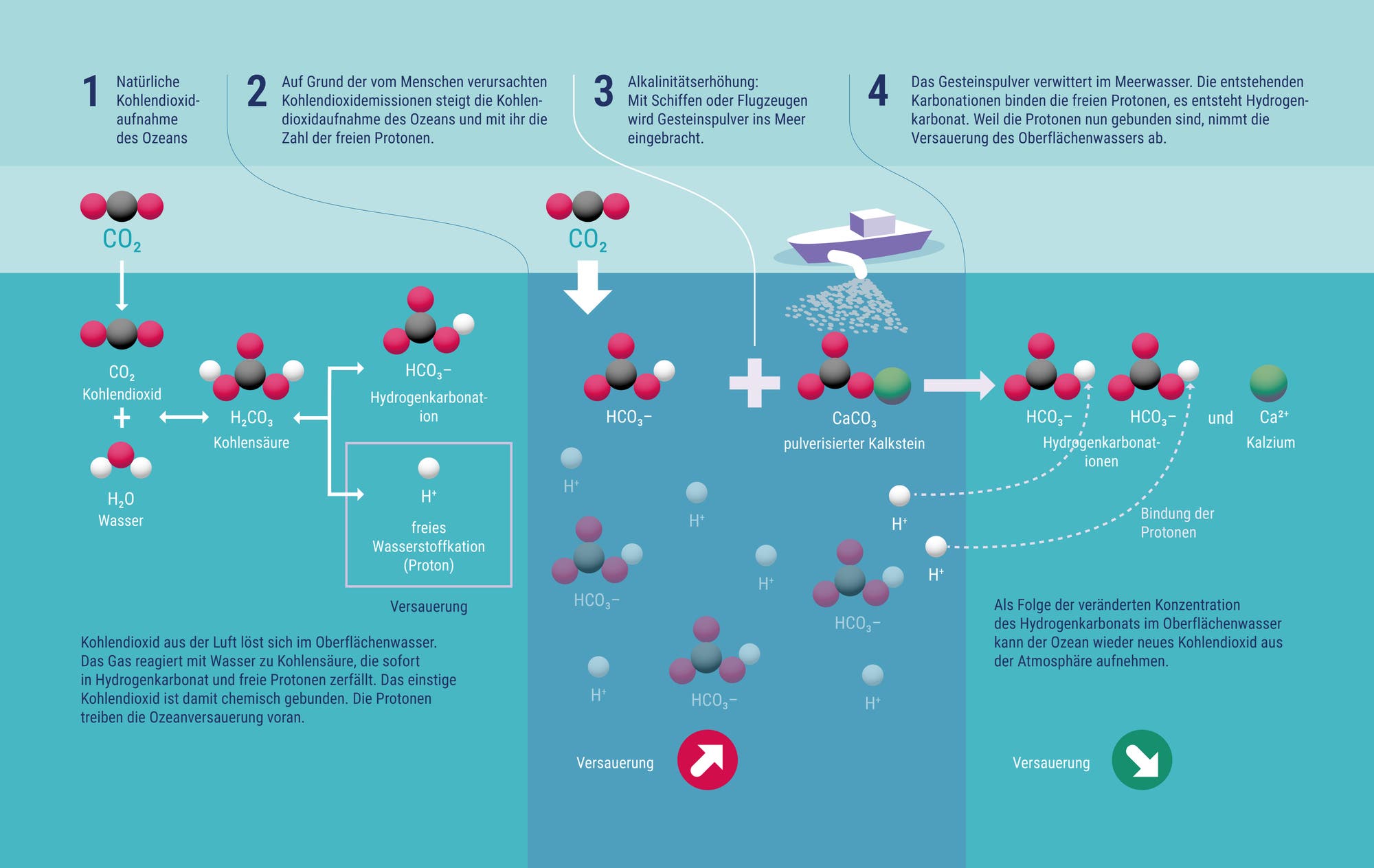 Chemische Reaktion im Meerwasser bei Zugabe von Gesteinsmehl