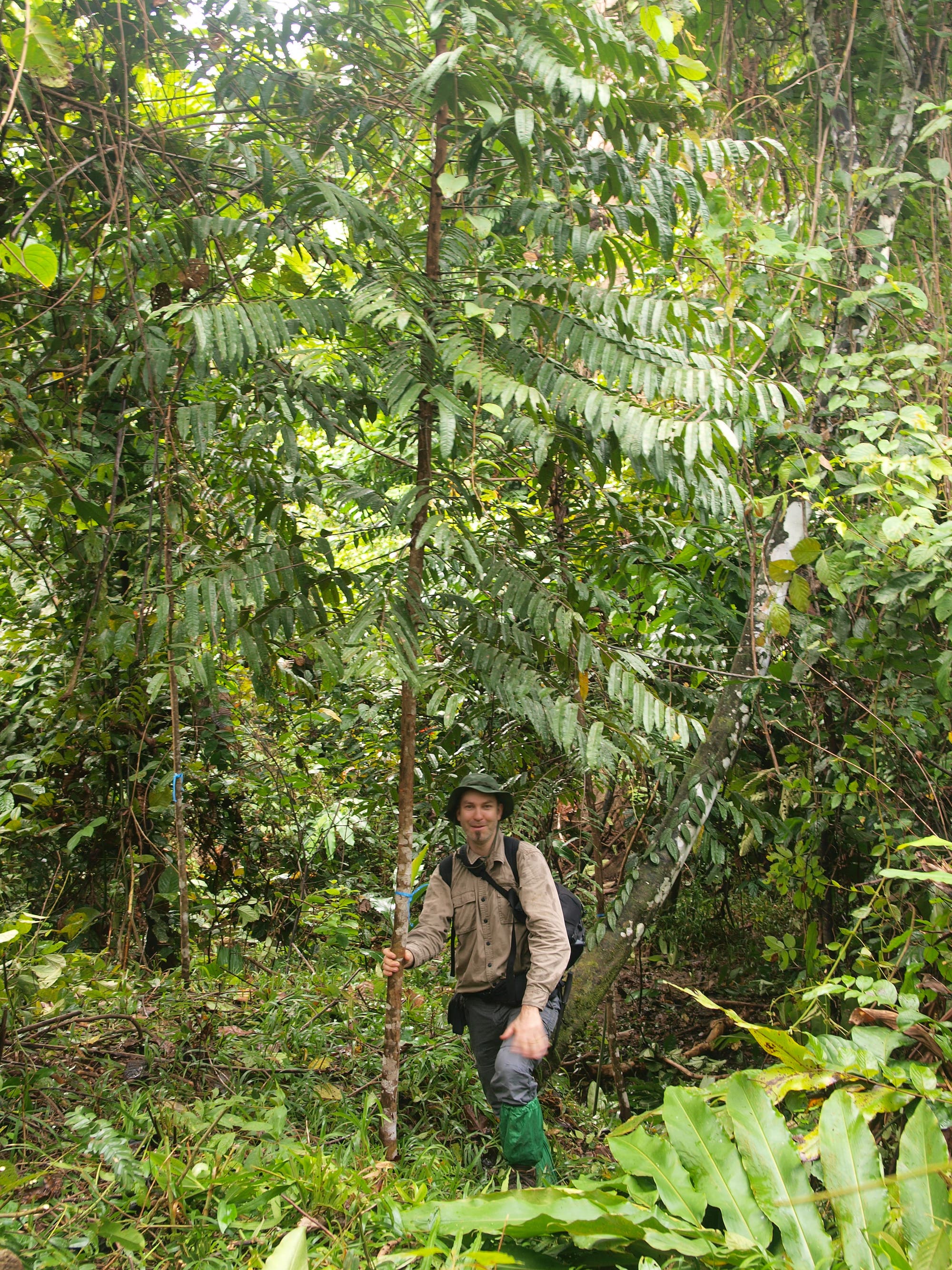 Interviewpartner Robert Risch neben einem großen Baum, der erst drei Jahre zuvor gepflanzt wurde