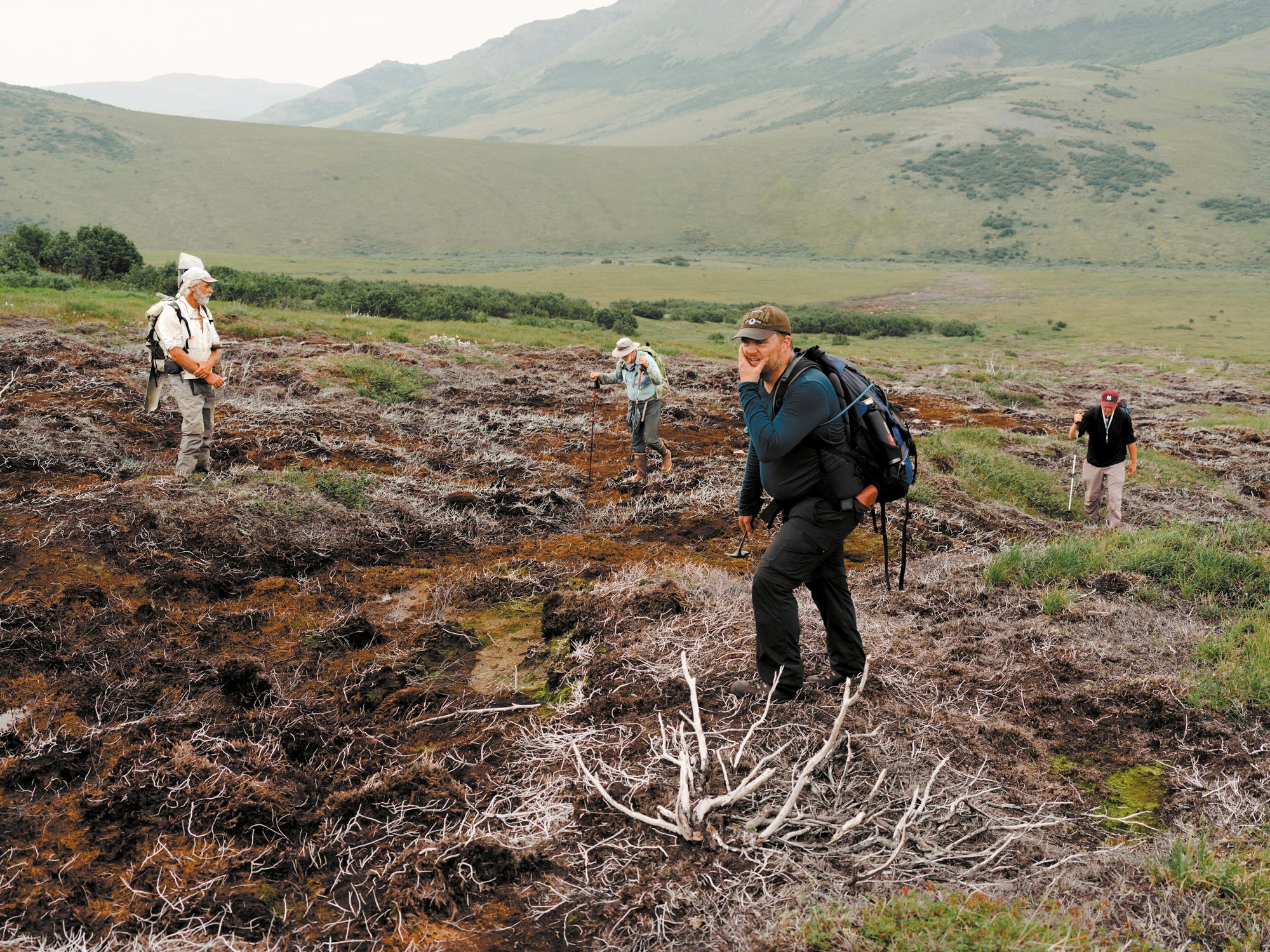 Vier Forscher auf verbrannter Erde, im Hintergrund grüne Hügel und Berge.