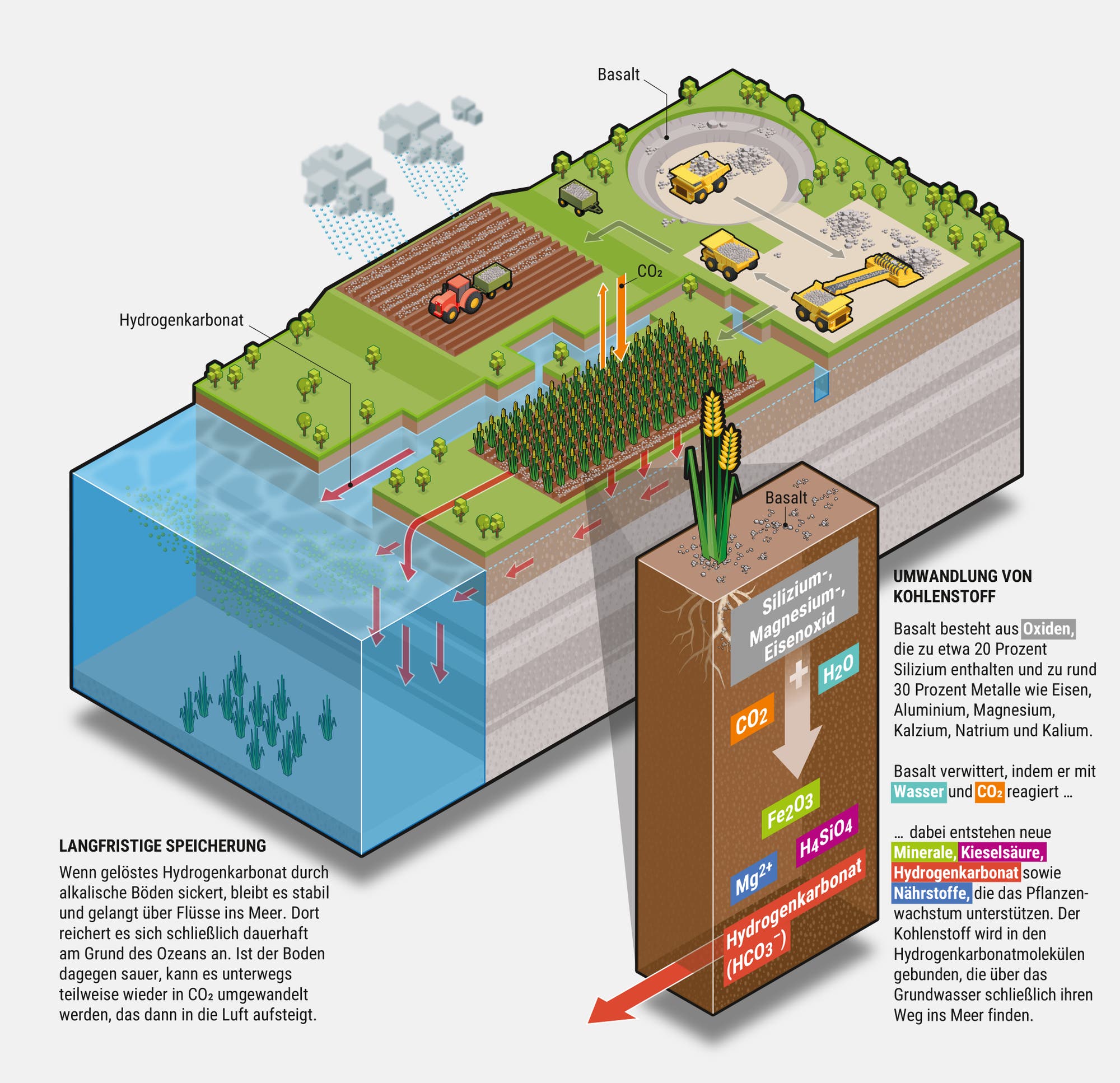 Eine Infografik erklärt die Funktionsweise der verbesserten Verwitterung von Gestein. Oben links zeigt ein Traktor, der Basaltgestein auf einem Feld verteilt, während CO2-Pfeile in den Boden eindringen. Rechts oben sind Maschinen in einem Steinbruch zu sehen. Ein Querschnitt zeigt, wie Basalt mit Wasser und CO2 reagiert, um neue Mineralien und Nährstoffe zu bilden, die das Pflanzenwachstum unterstützen. Unten links wird die langfristige Speicherung von Bicarbonat im Wasser dargestellt. Textfelder erläutern die chemischen Prozesse und die Vorteile für die Landwirtschaft und CO2-Reduktion.