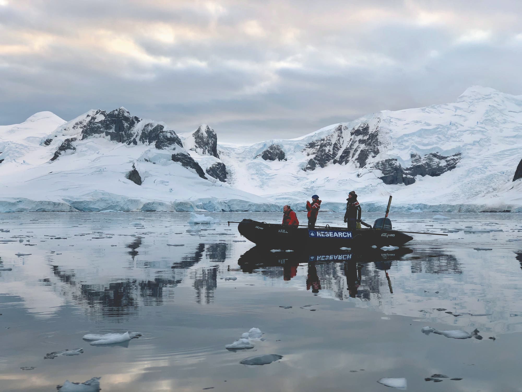 Forscher studieren Buckelwale in der Antarktis, um zu erfahren, wie sie Krill finden.