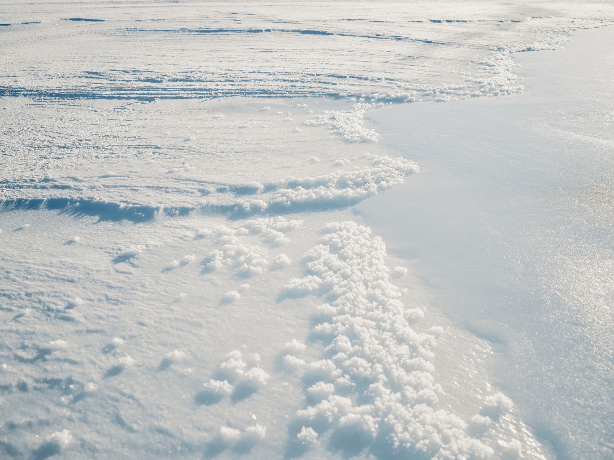 Eine Schneelandschaft mit einer glatten, gefrorenen Oberfläche, die von einer dünnen Schicht aus frischem Schnee bedeckt ist. Die Textur des Schnees variiert, mit Bereichen, die von Wind oder Bewegung geformt wurden, und kleinen, kristallinen Strukturen, die im Sonnenlicht glitzern. Die Szene vermittelt eine ruhige, kalte Atmosphäre.