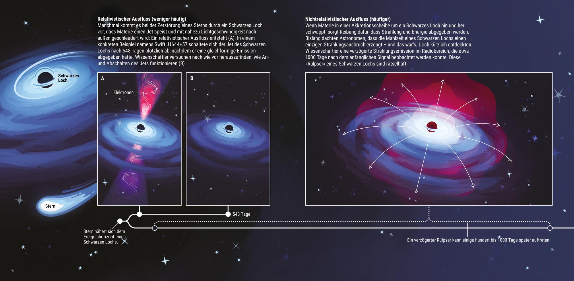 Eine wissenschaftliche Abbildung zeigt den Prozess, wie ein Stern von einem Schwarzen Loch angezogen wird. Links ist ein Stern dargestellt, der sich einem Schwarzen Loch nähert und dabei in eine Akkretionsscheibe gezogen wird. Der Text beschreibt, dass der Stern durch die Gravitationskraft des Schwarzen Lochs gedehnt wird. Zwei Szenarien werden verglichen: relativistischer Ausfluss, bei dem Material mit nahezu Lichtgeschwindigkeit ausgestoßen wird, und nicht-relativistischer Ausfluss, bei dem Licht und Energie nach außen strahlen. Eine Zeitleiste zeigt, dass der relativistische Ausfluss nach 548 Tagen endete. Der Text hebt hervor, dass Wissenschaftler die Ursachen und das Ende dieser Ausflüsse noch erforschen.