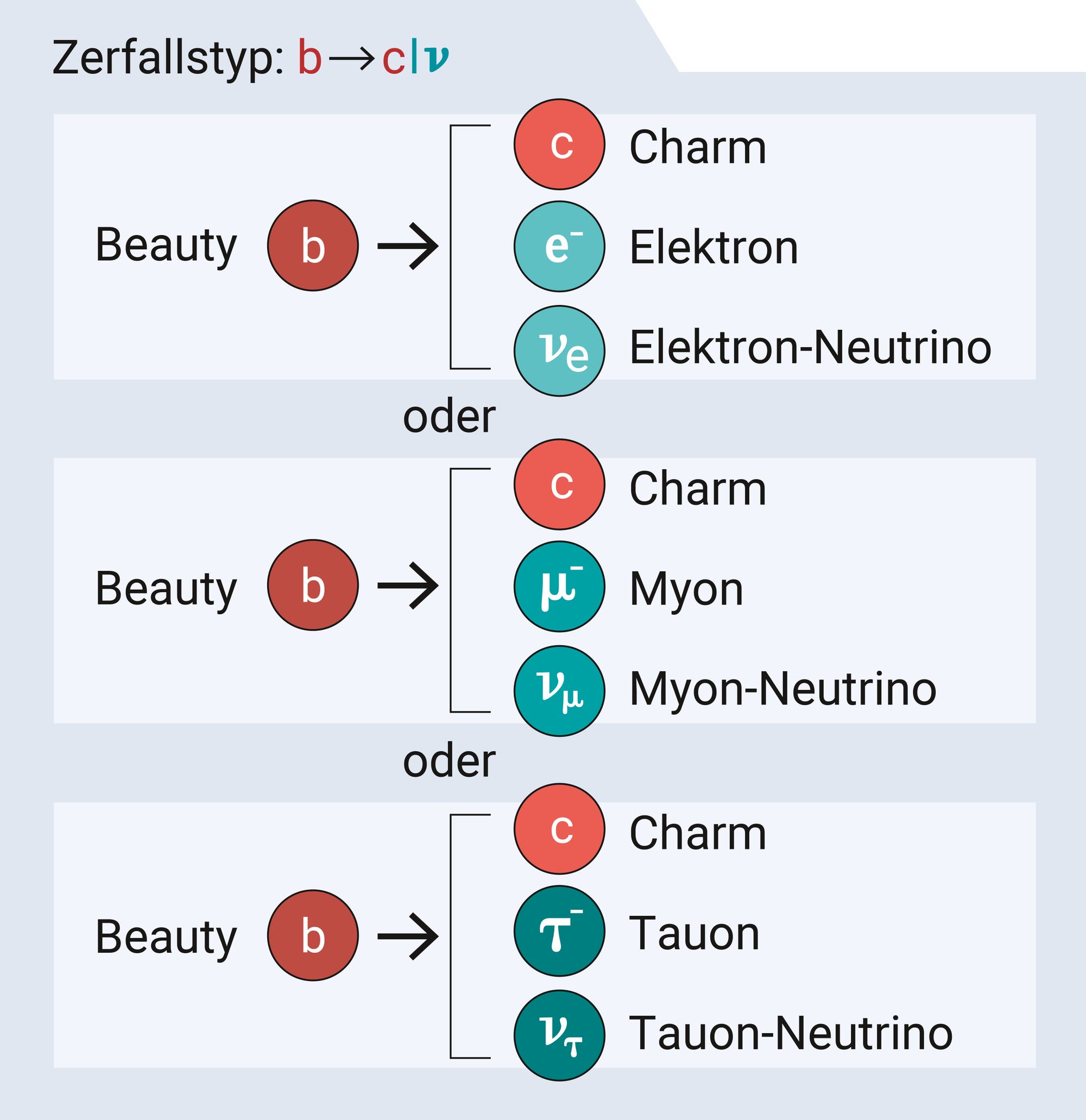 Schema des Zerfalls eines Beauty- in ein Charm-Quark