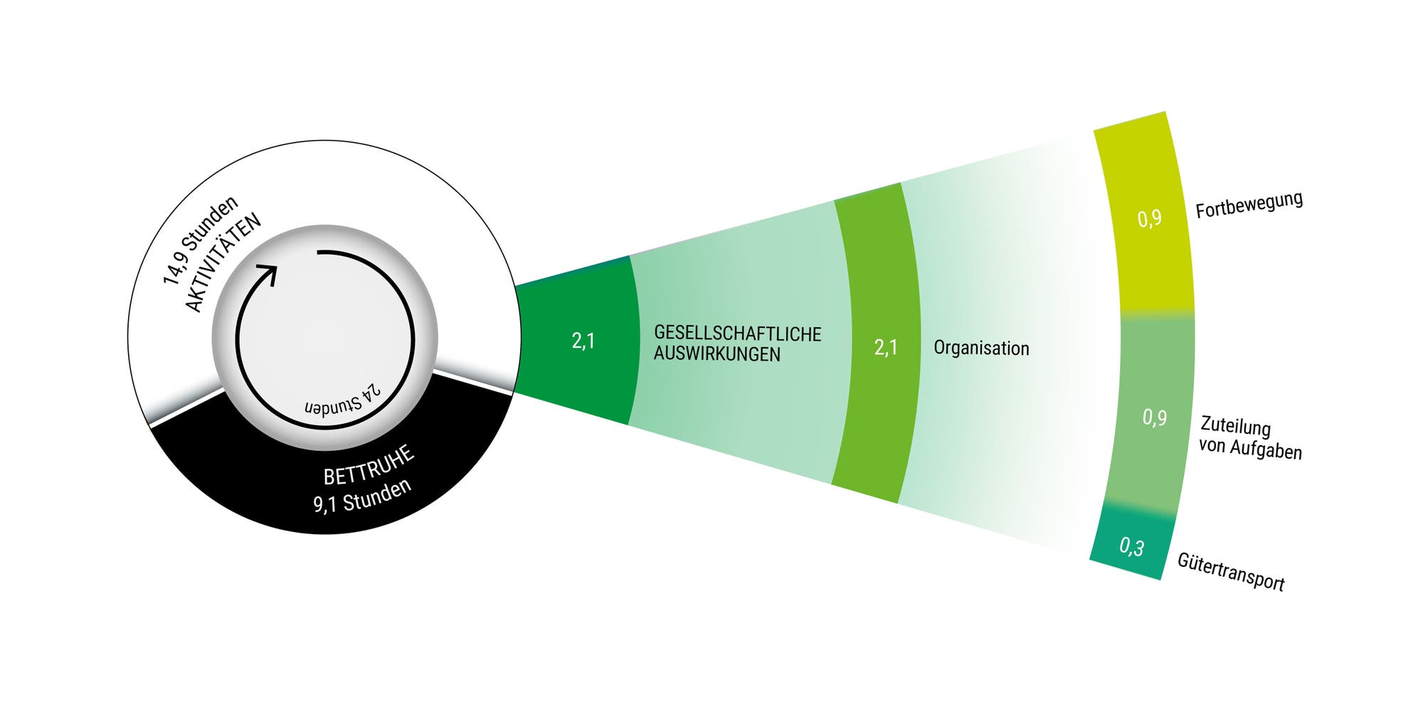 Illustration der durchschnittlichen Aufteilung der täglichen 24 Stunden auf verschiedene Tätigkeiten