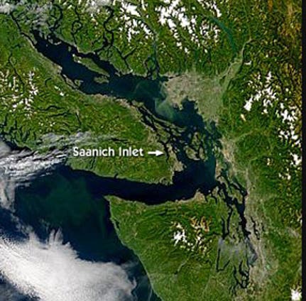 Saanich Inlet in Kanada