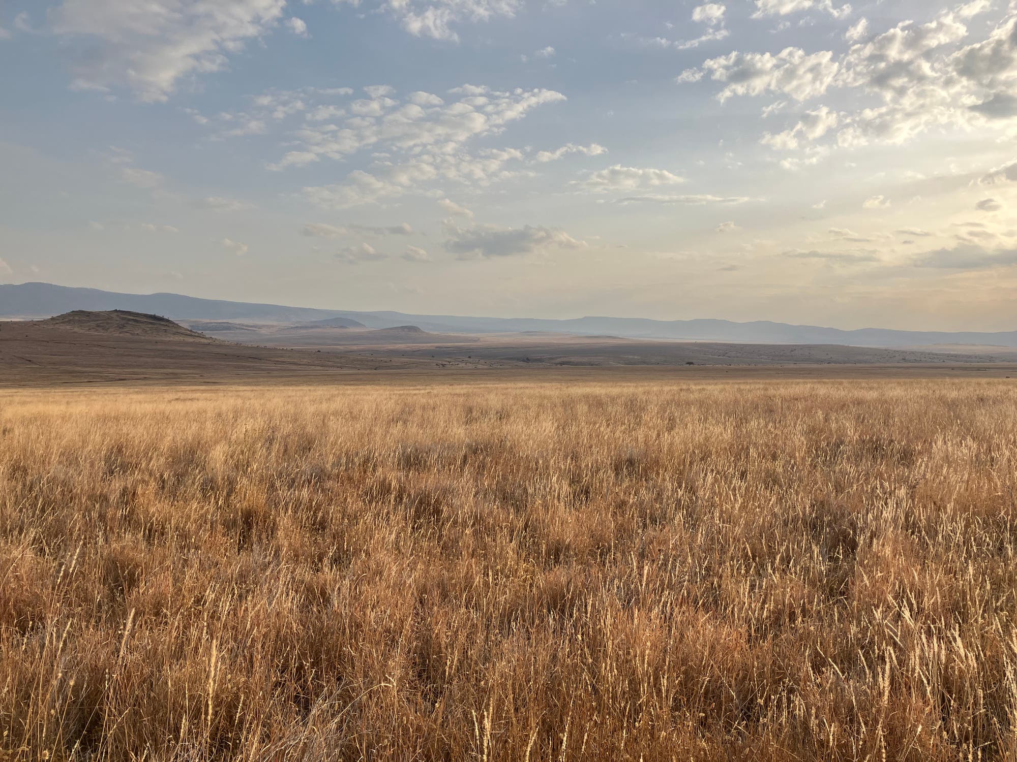 Eine Savannenlandschaft unter sonnigem, leicht bewölktem Himmel, im Hintergrund Gebirge