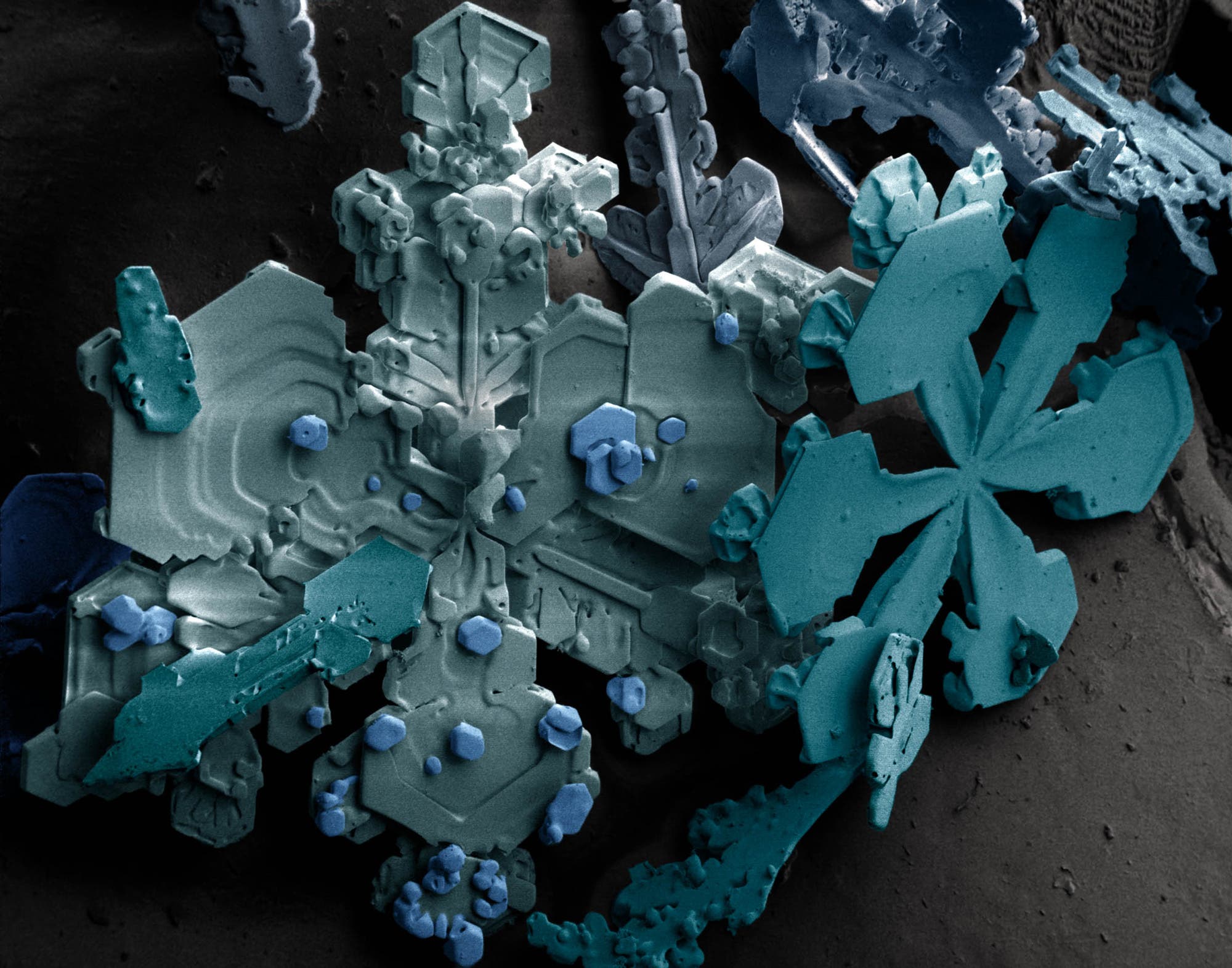 Schneekristalle unter dem Mikroskop