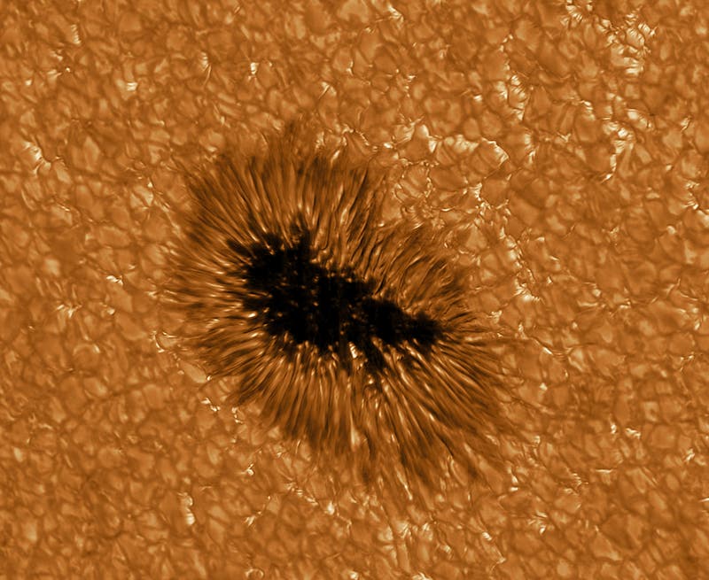 Sonnenfleck in höchster Auflösung, beobachtet mit dem GREGOR-Telesko